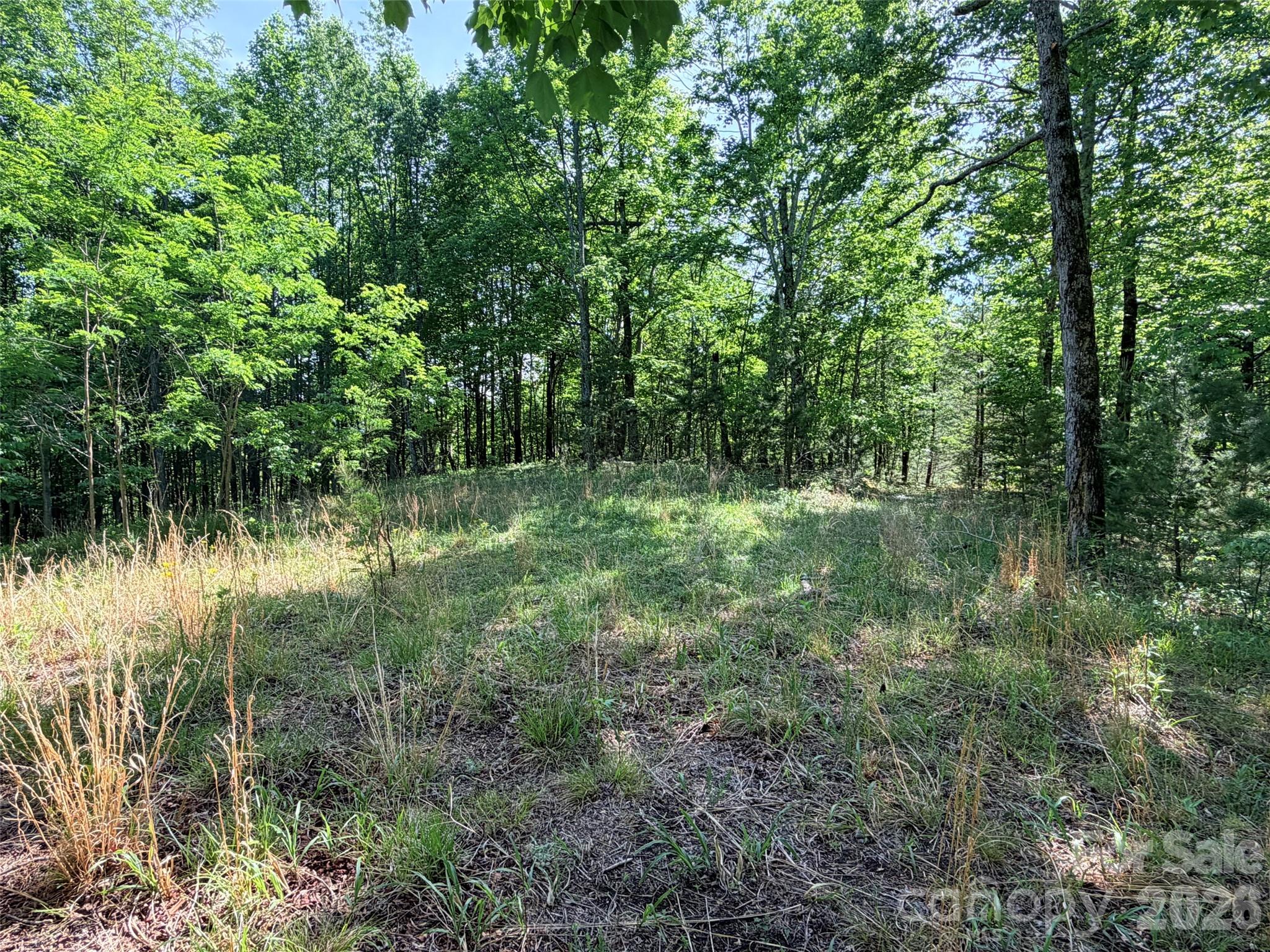 Lot 8 High Rock Ridge Property Photo 6