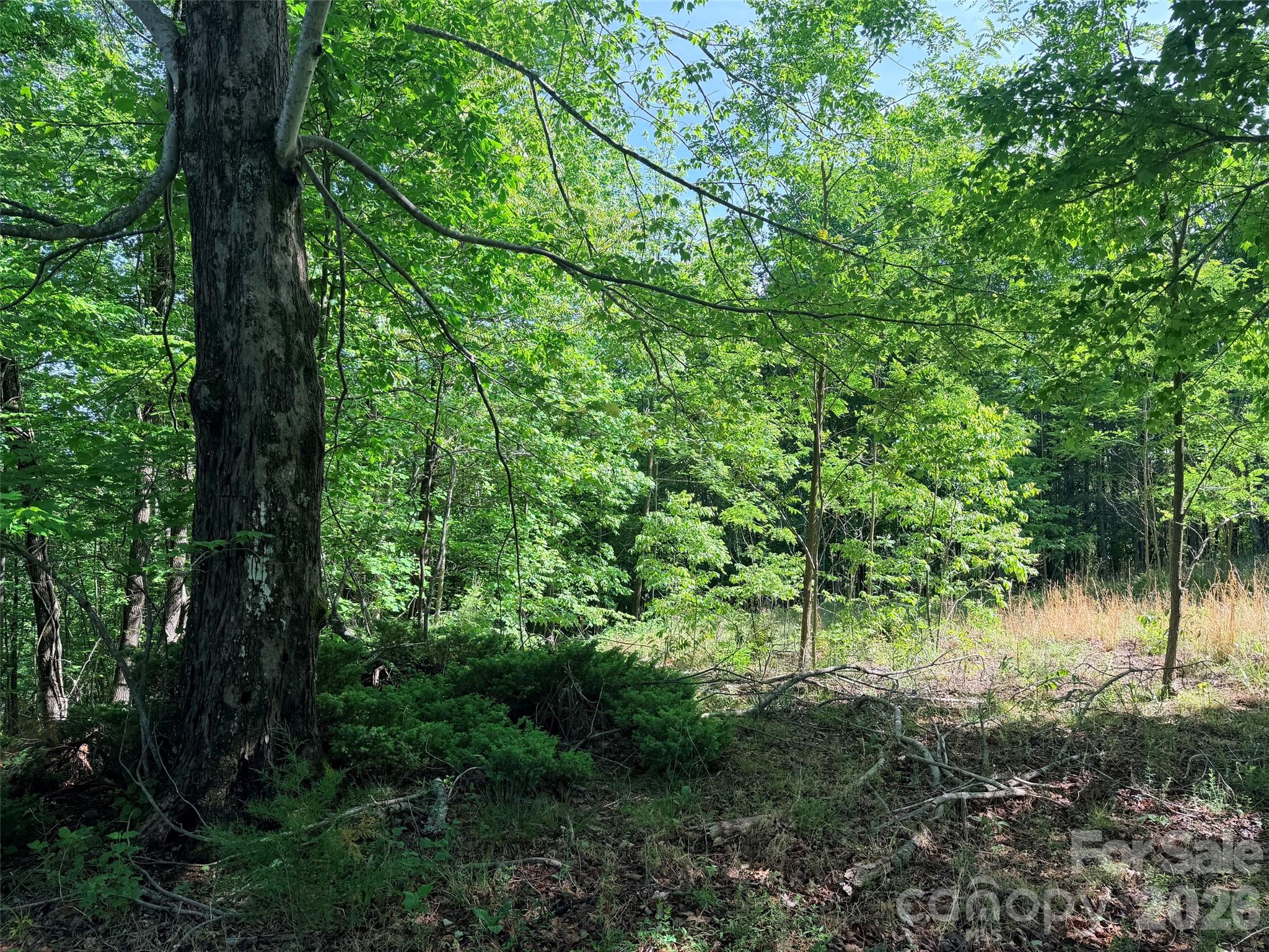 Lot 8 High Rock Ridge Property Photo 7