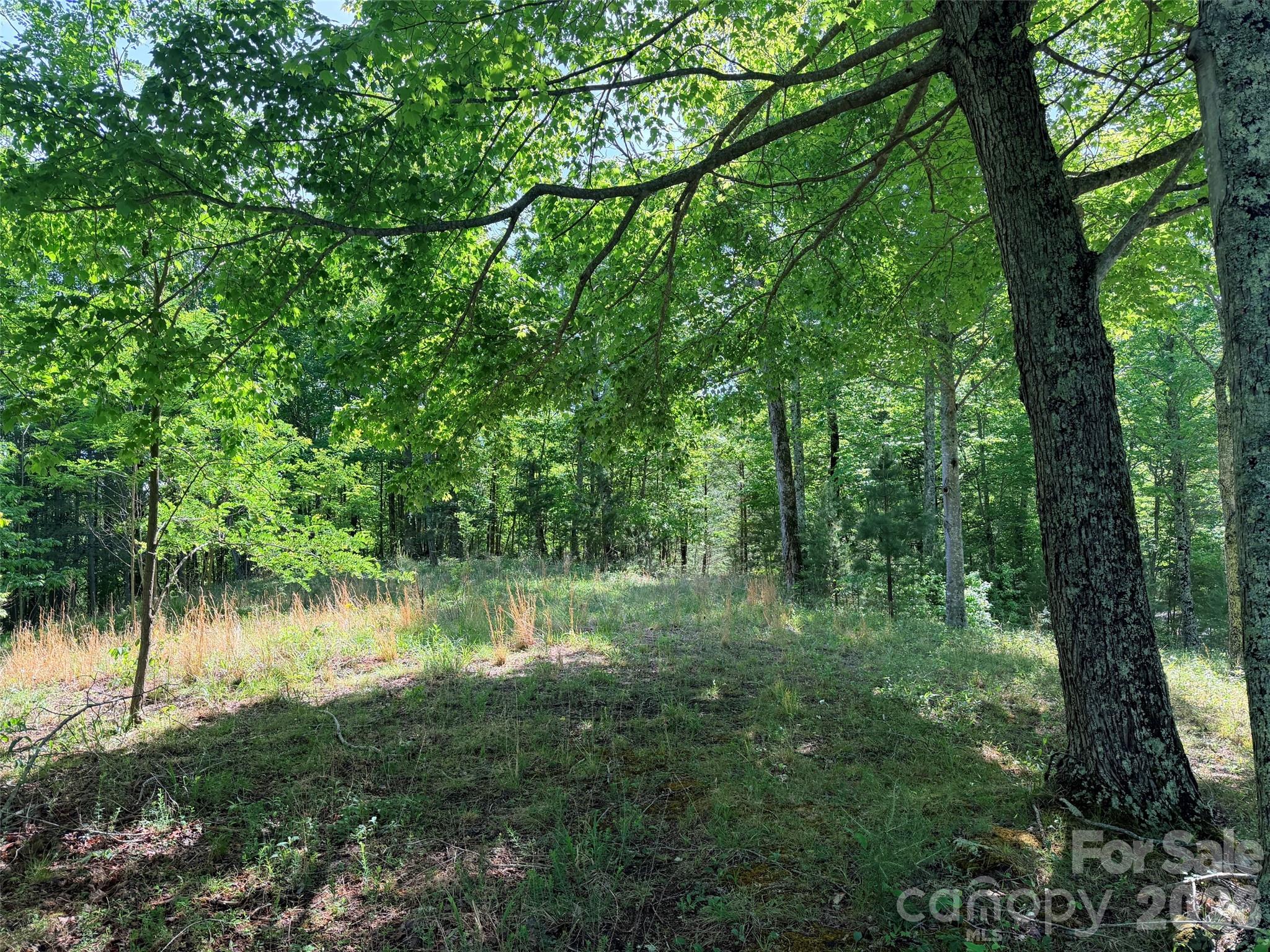 Lot 8 High Rock Ridge Property Photo 8