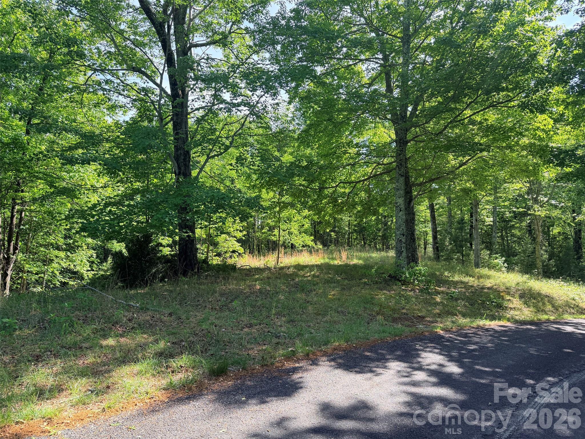 Lot 8 High Rock Ridge Property Photo 9