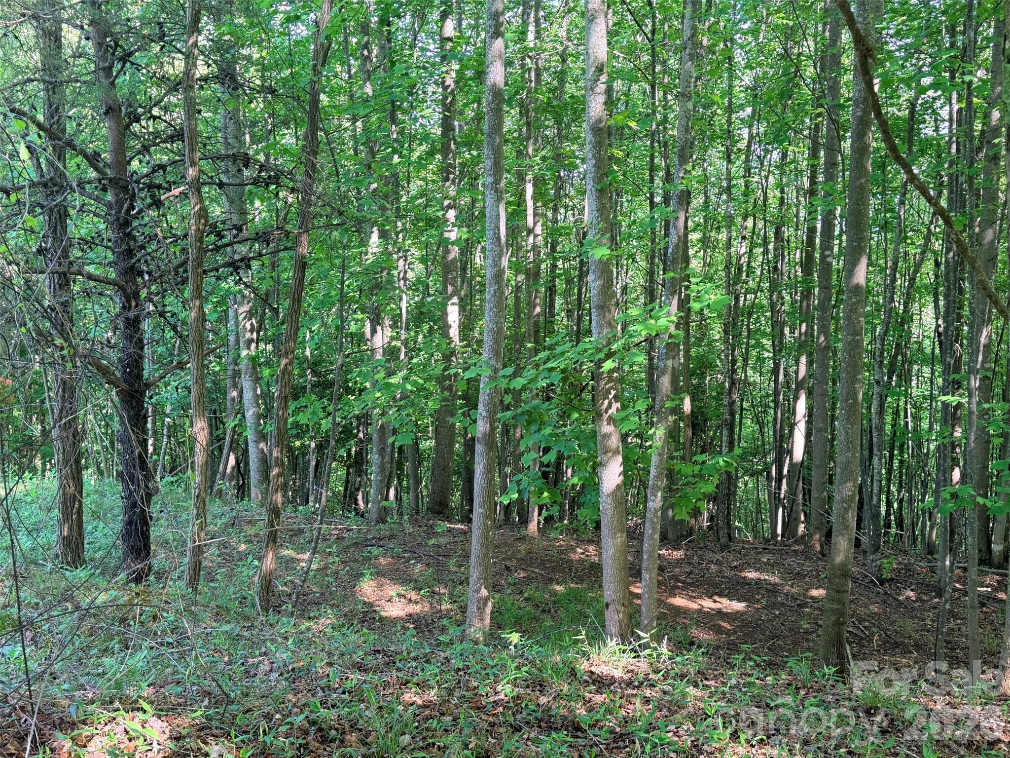 Lot 8 High Rock Ridge Property Photo 10