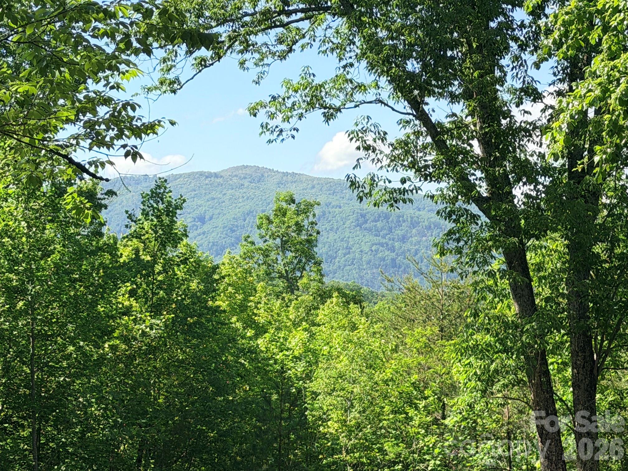 Lot 8 High Rock Ridge Property Photo 11
