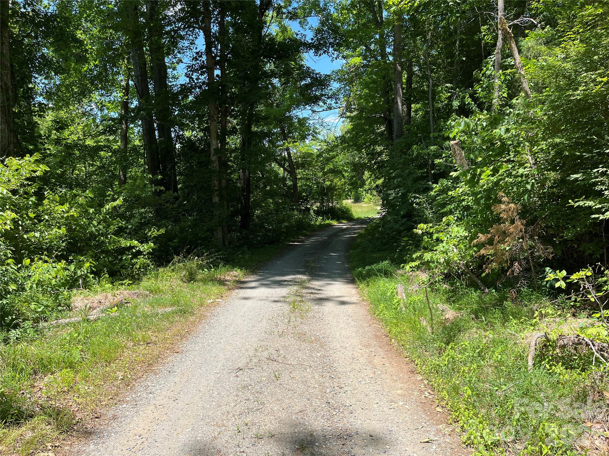 183 Cedarberry Glen Property Photo 28