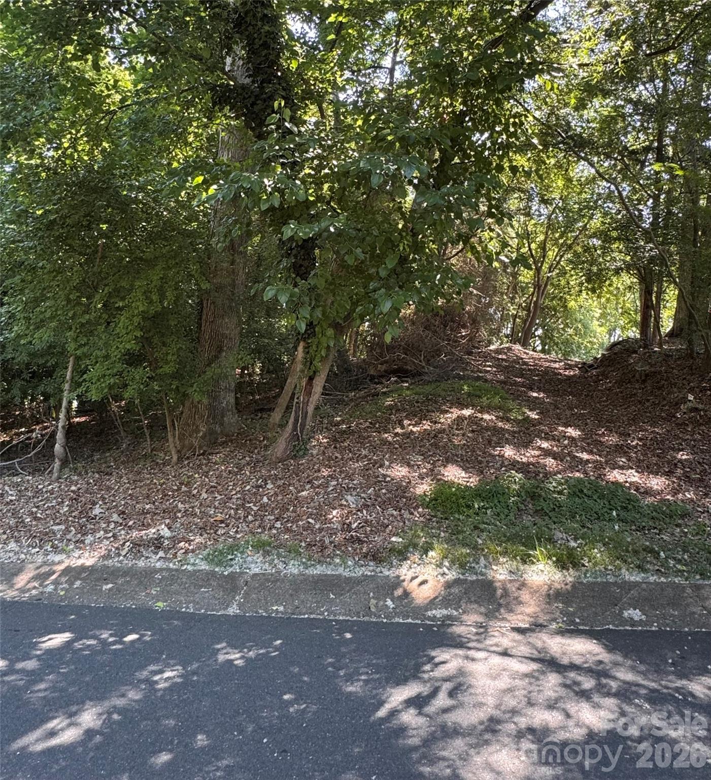 0 Maymont Drive 4 Property Photo 4