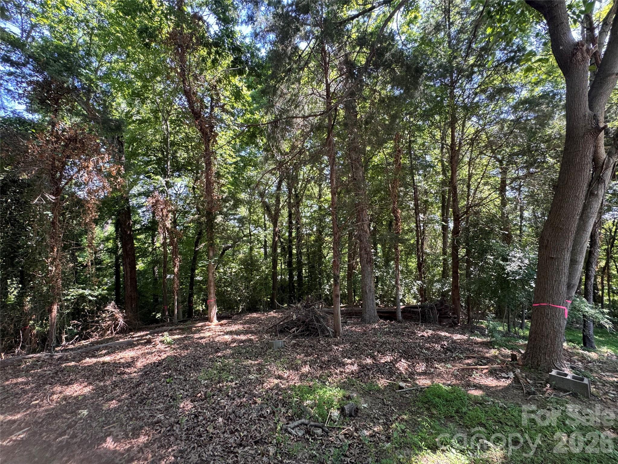 0 Maymont Drive 4 Property Photo 8