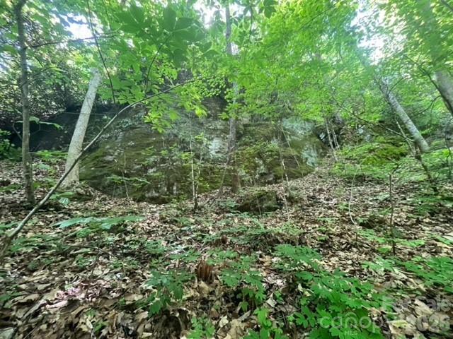 00000 Soco Road Property Photo 13