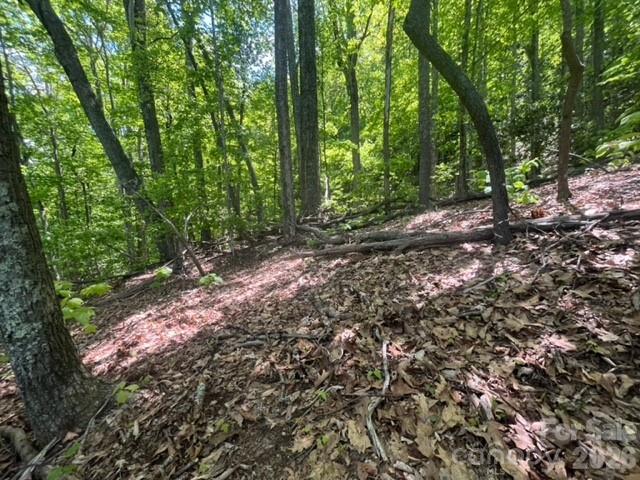 00000 Soco Road Property Photo 15