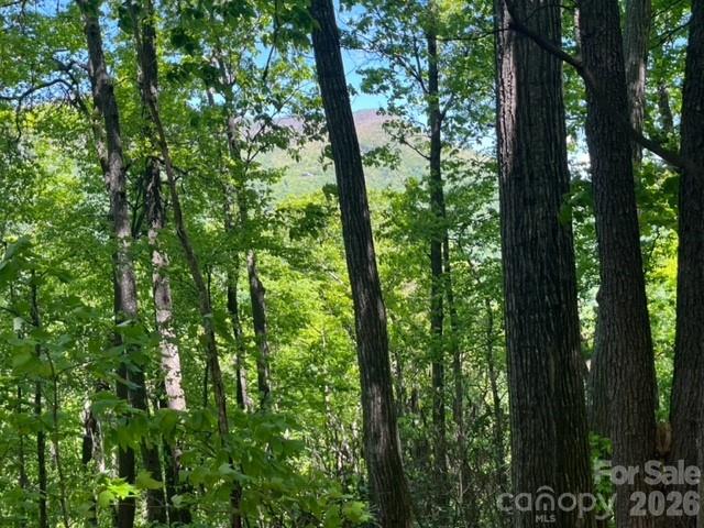 00000 Soco Road Property Photo 16