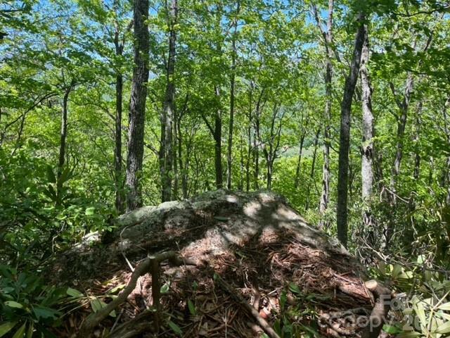 00000 Soco Road Property Photo 17