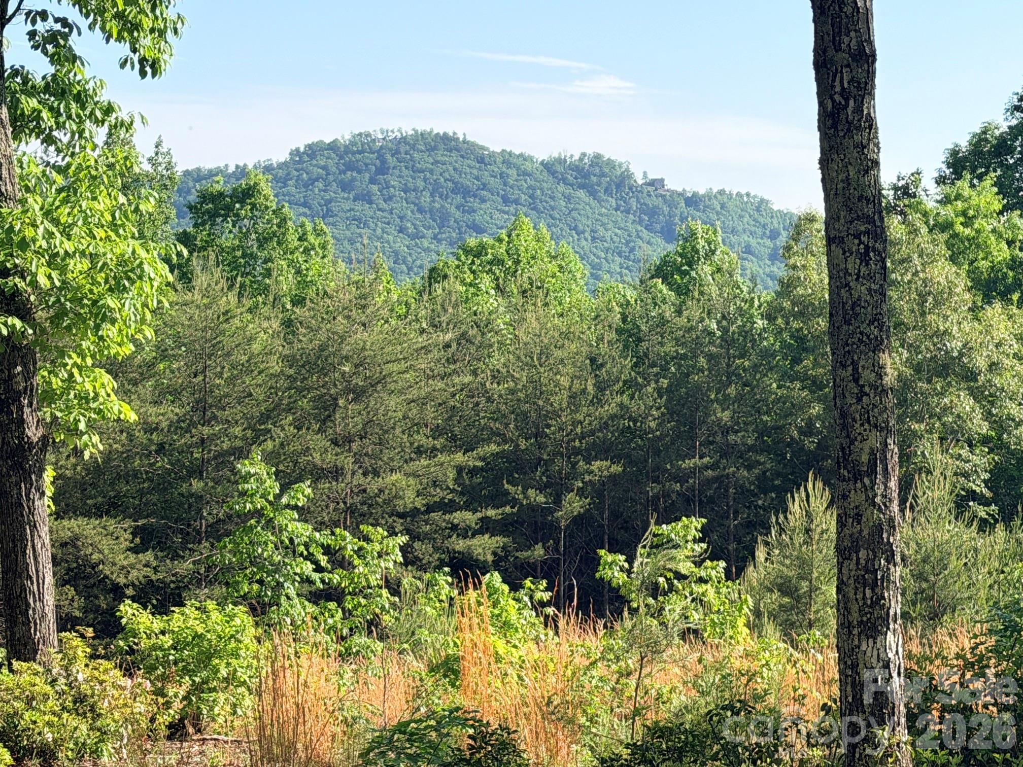 Lot 11 Brookside Parkway