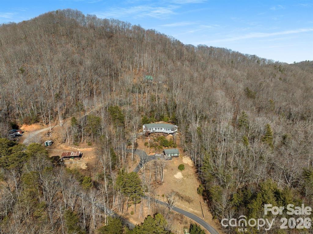 56 Great Horned Owl Road Property Photo 28