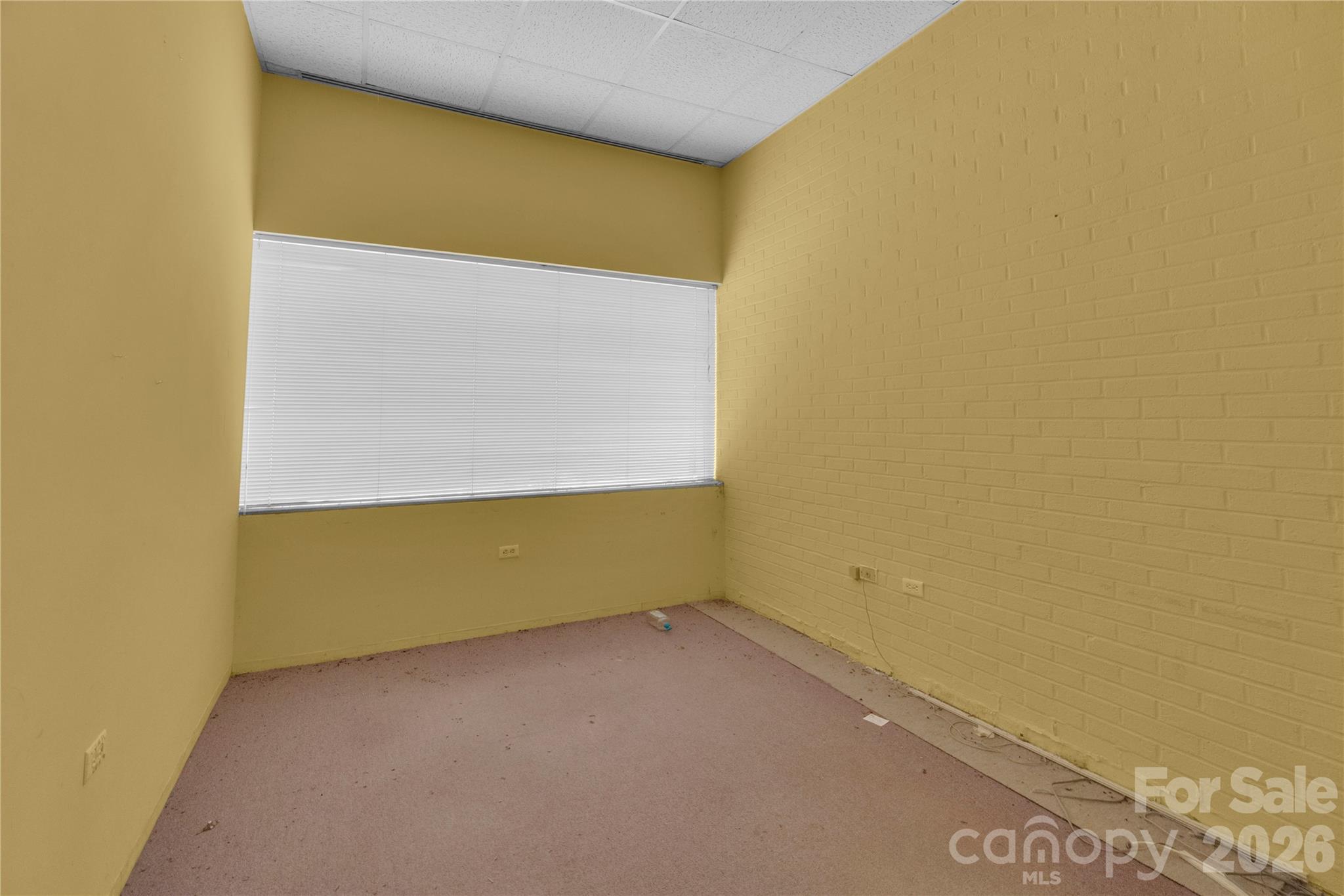 166 Dotson Street Property Photo 26