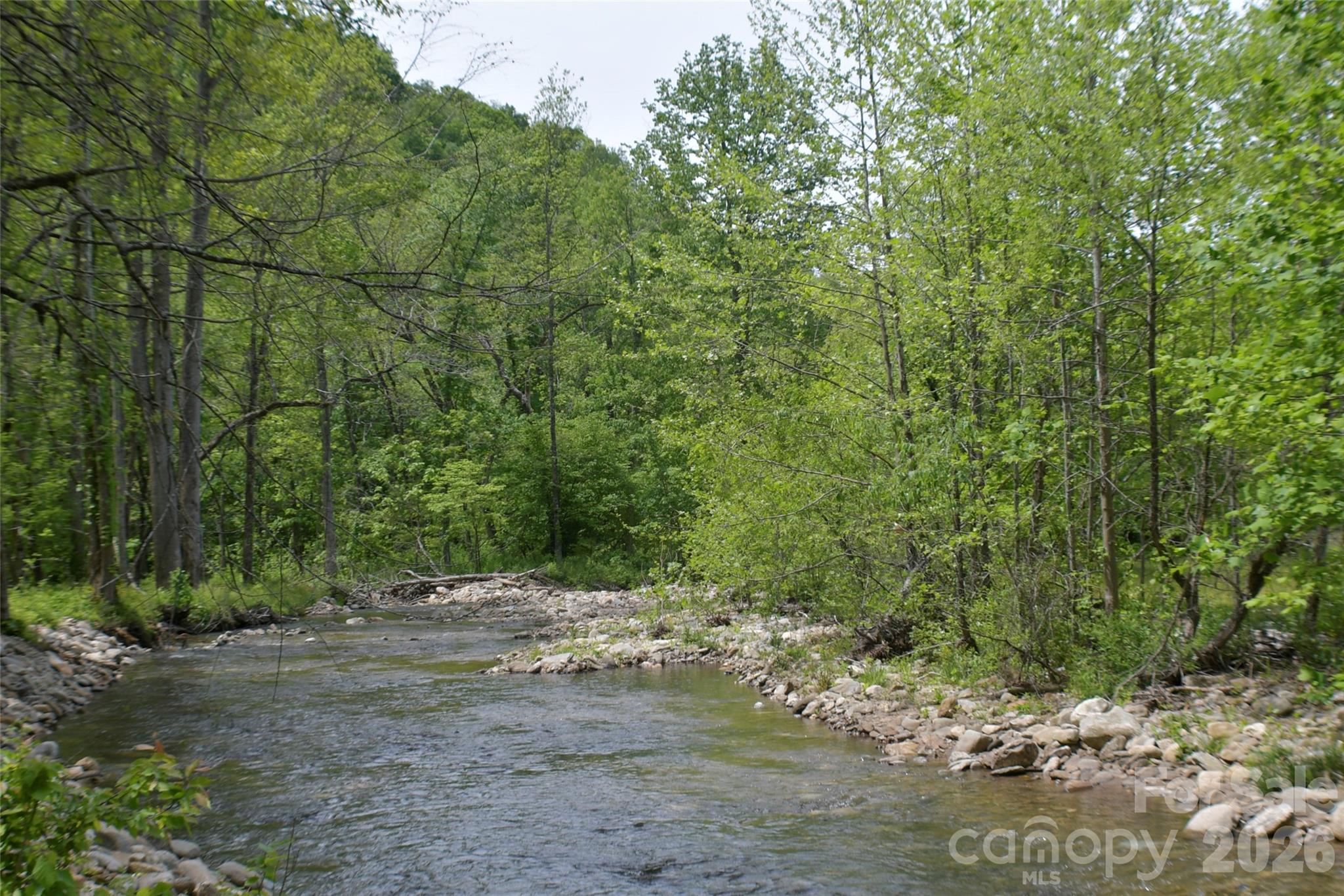 8200 Caney Fork Road Property Photo 1