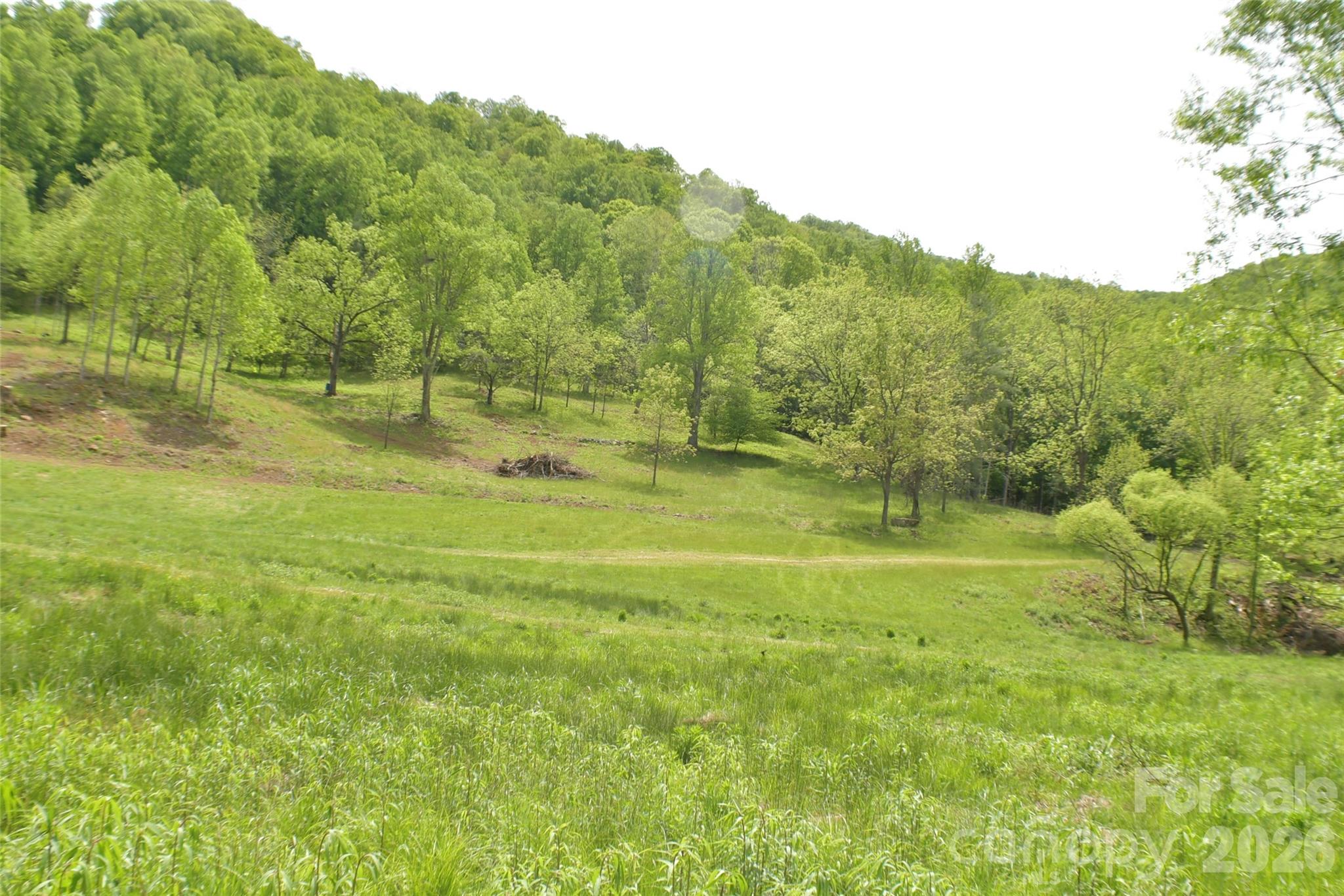 8200 Caney Fork Road Property Photo 2
