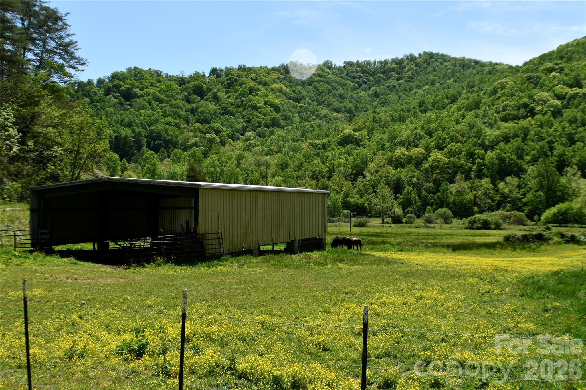 8200 Caney Fork Road Property Photo 3