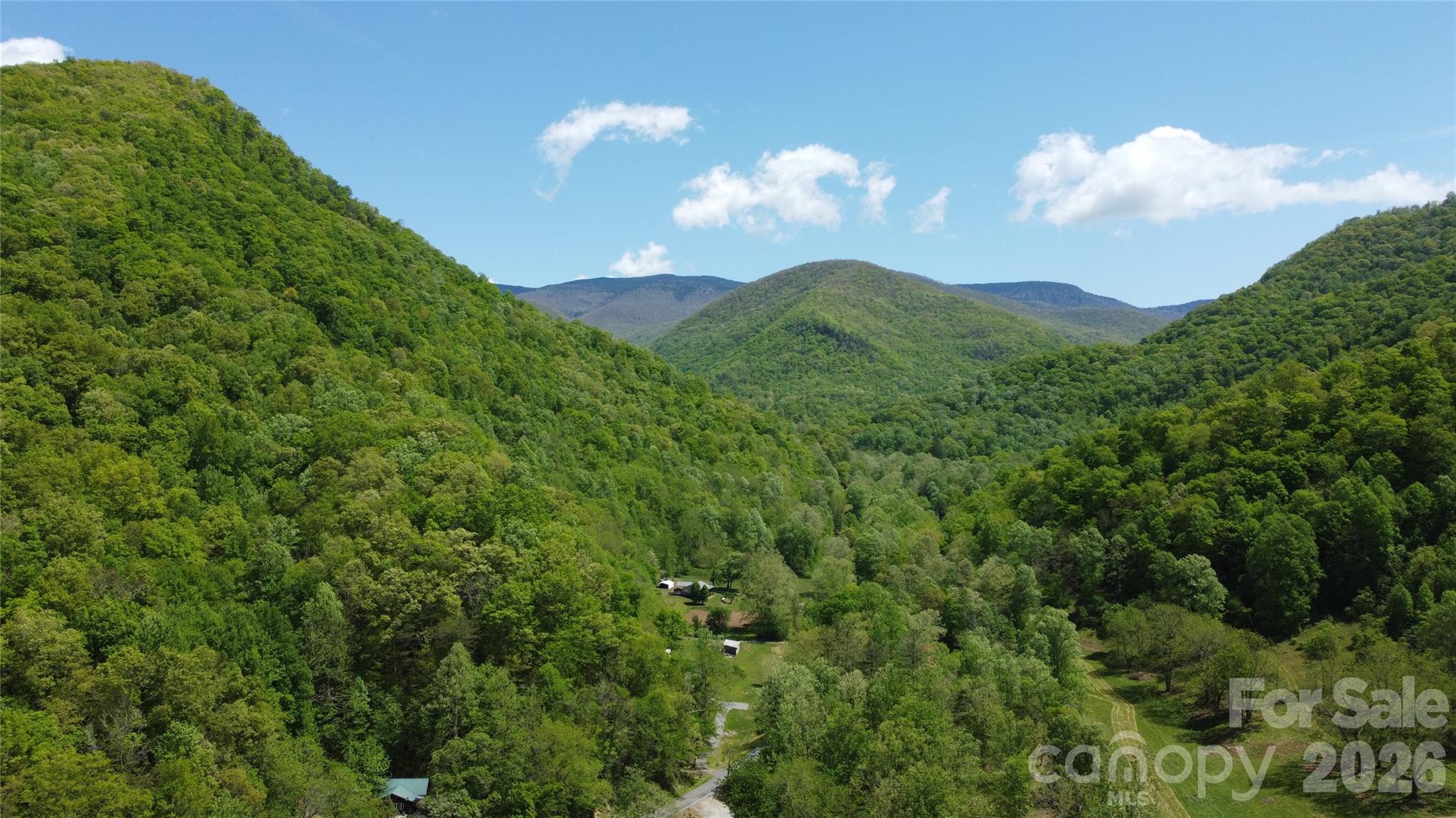 8200 Caney Fork Road Property Photo 4