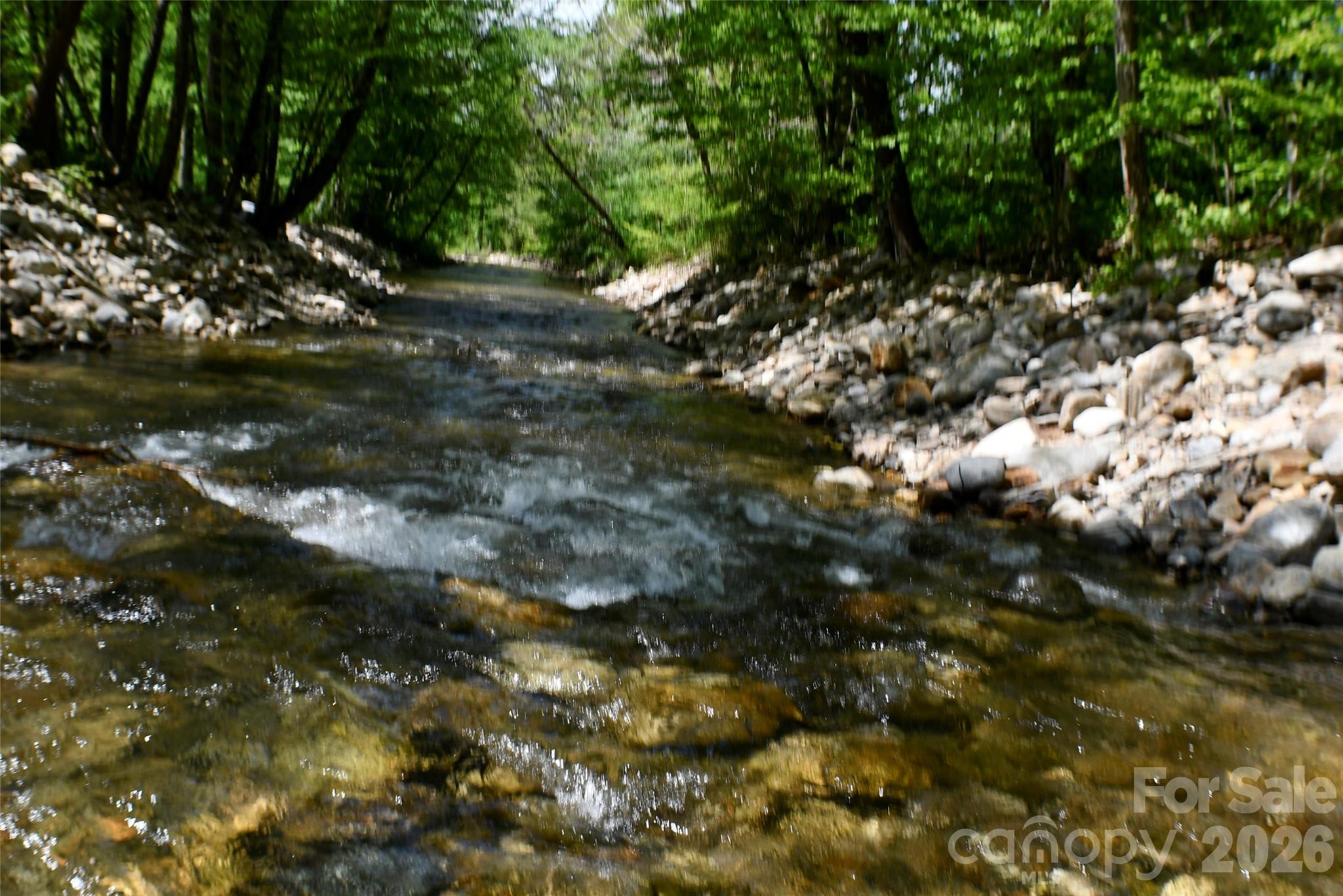 8200 Caney Fork Road Property Photo 5