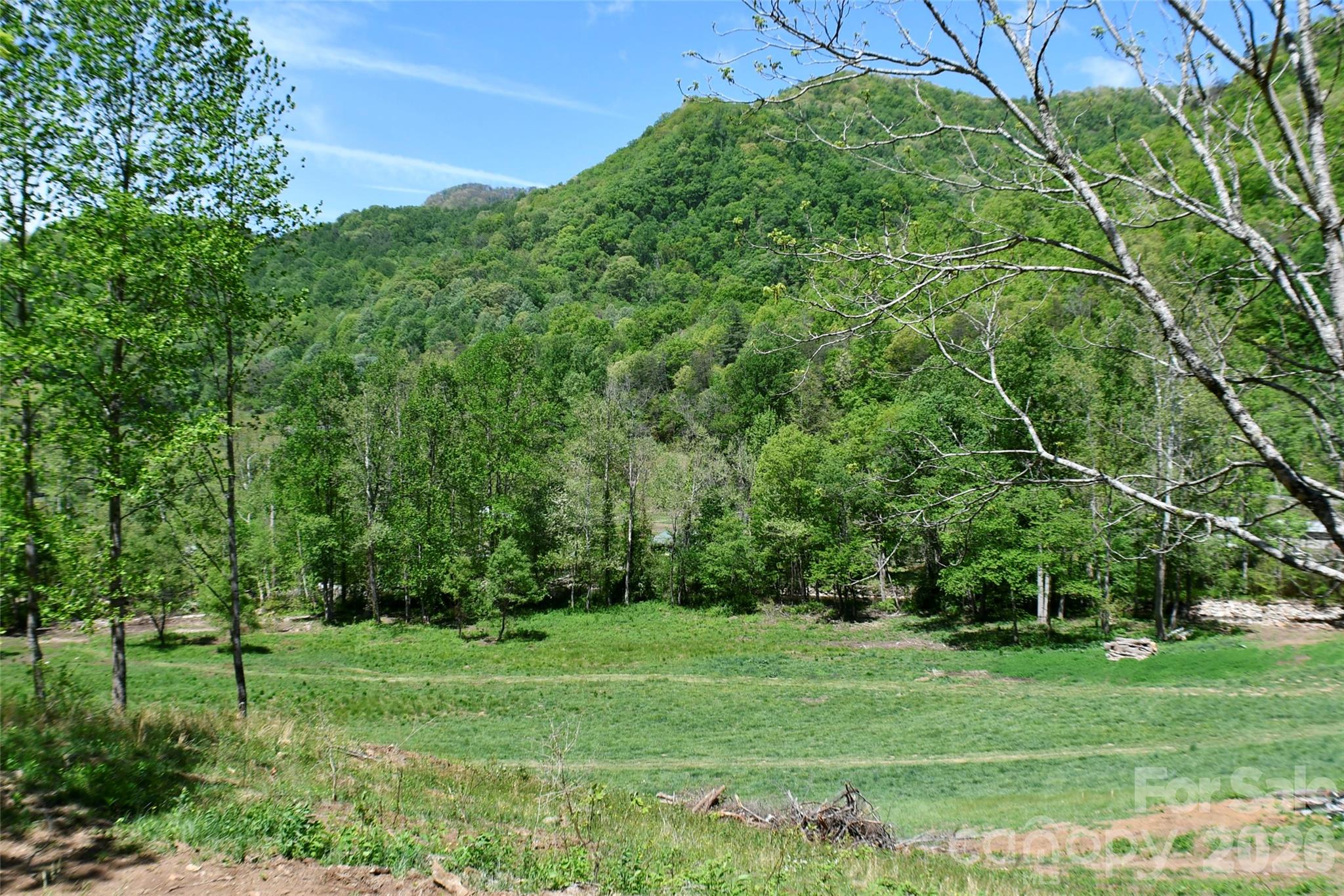8200 Caney Fork Road Property Photo 6