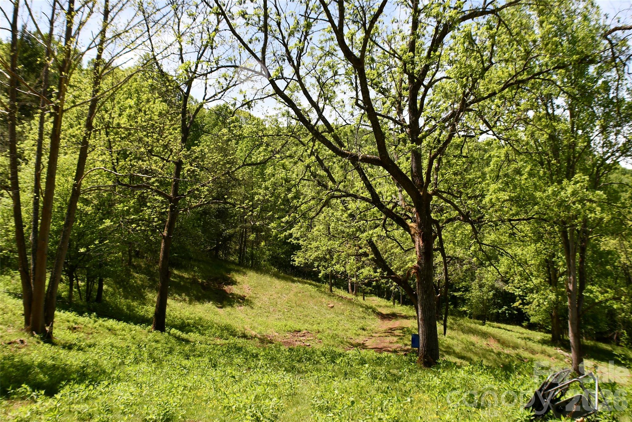 8200 Caney Fork Road Property Photo 8