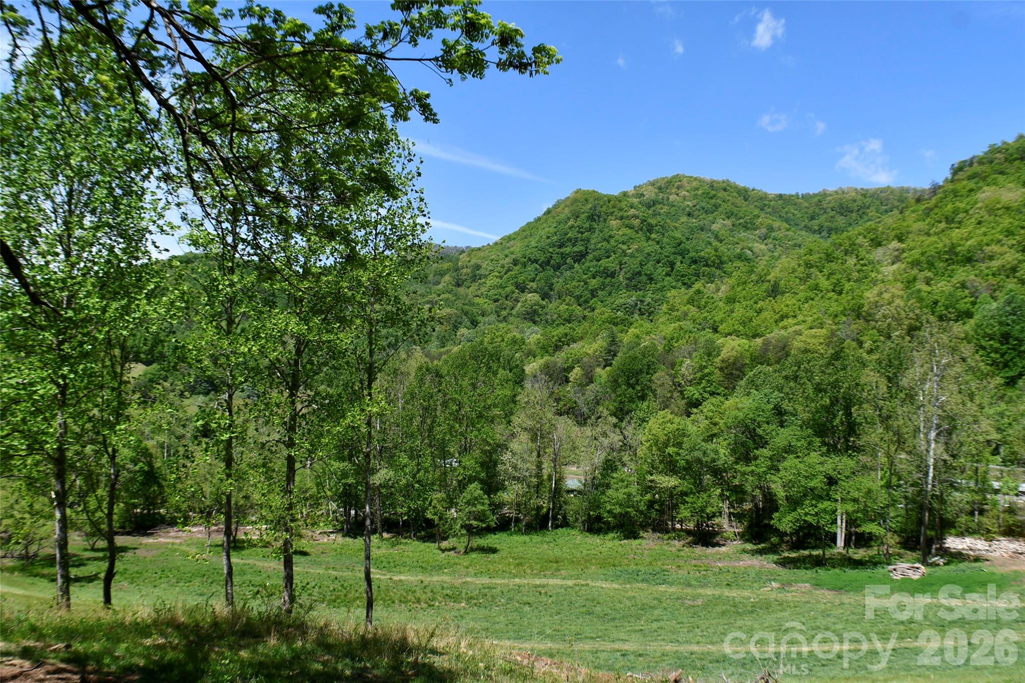8200 Caney Fork Road Property Photo 9