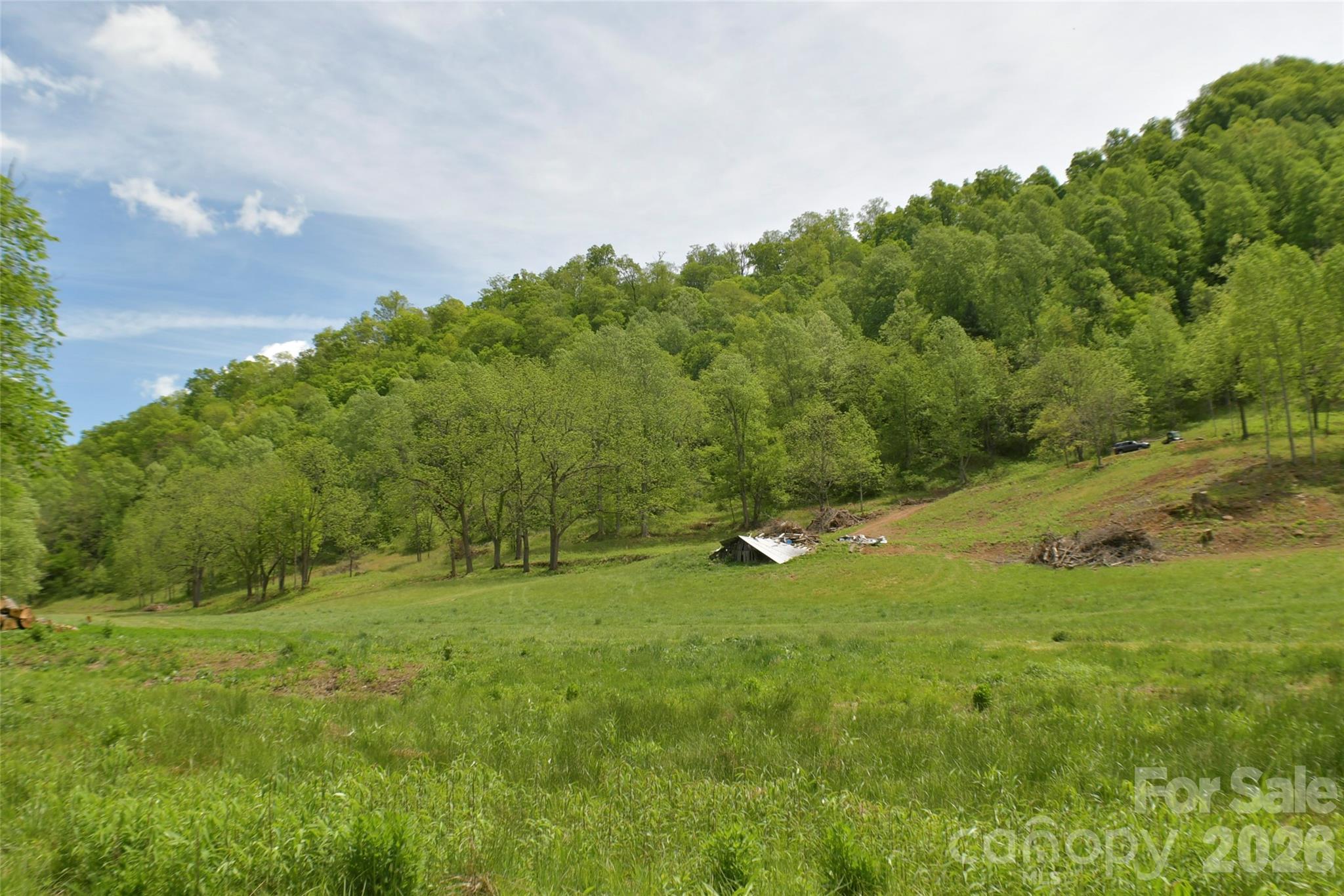 8200 Caney Fork Road Property Photo 12