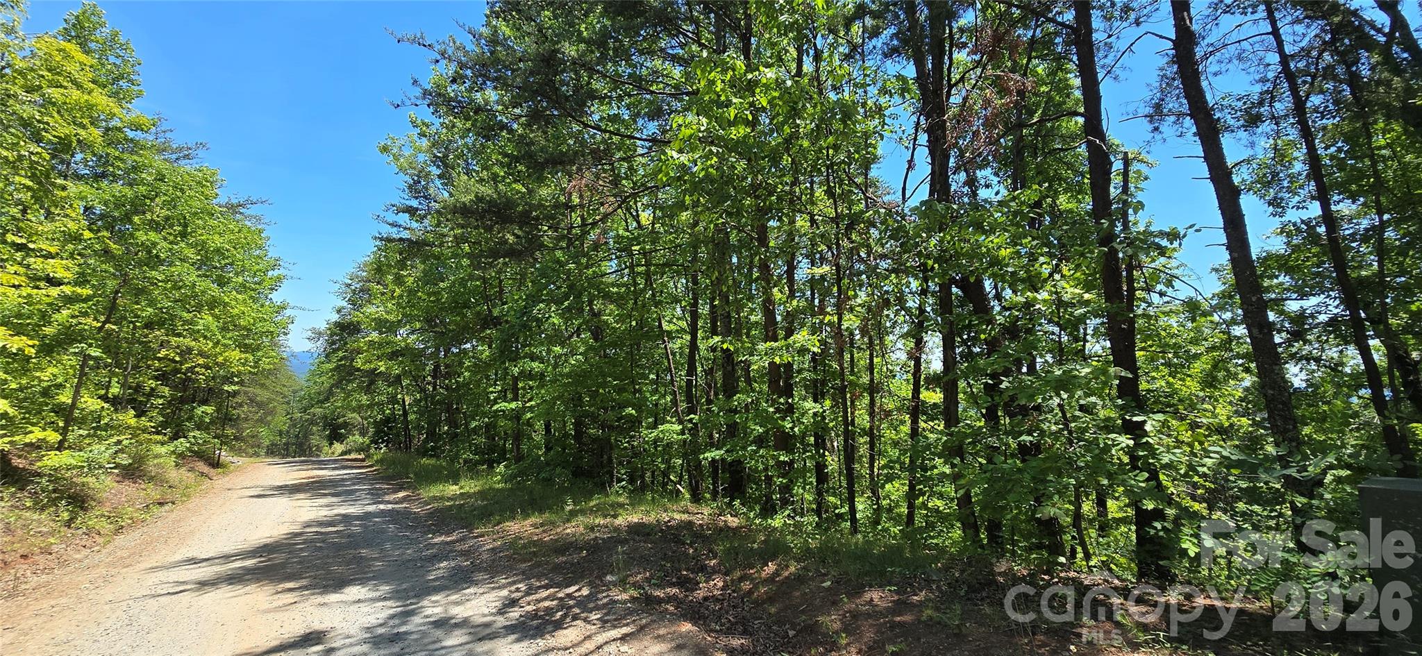 Lot 7 Pinnacle Parkway Property Photo 2