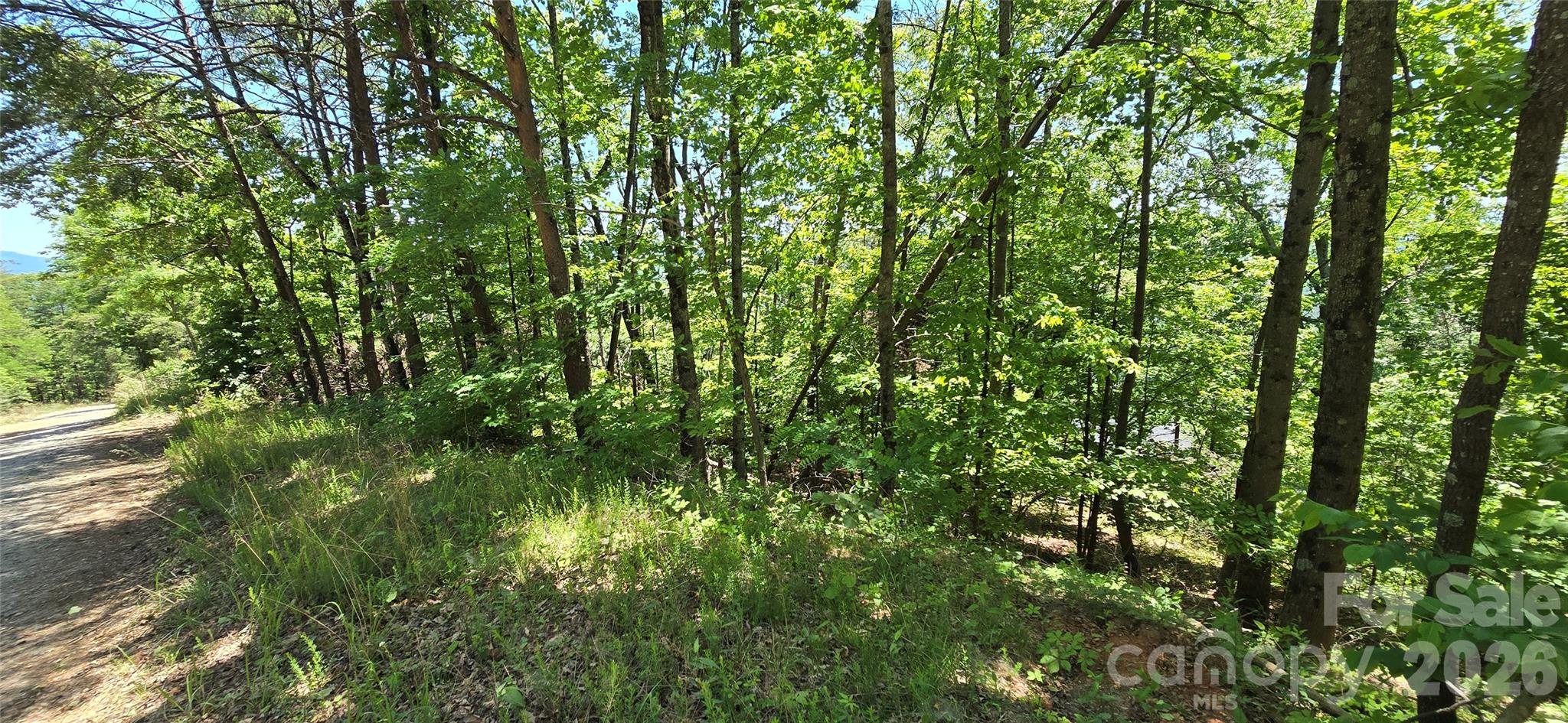 Lot 7 Pinnacle Parkway Property Photo 3