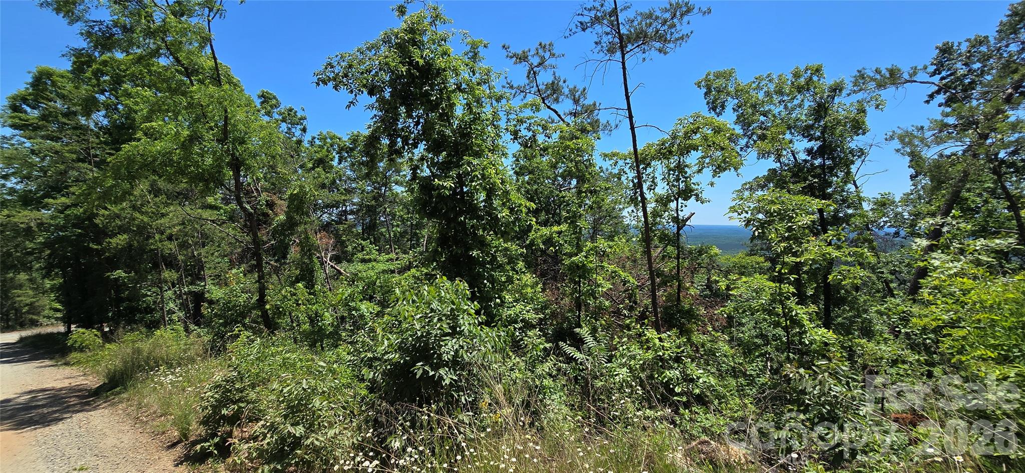 Lot 7 Pinnacle Parkway Property Photo 4