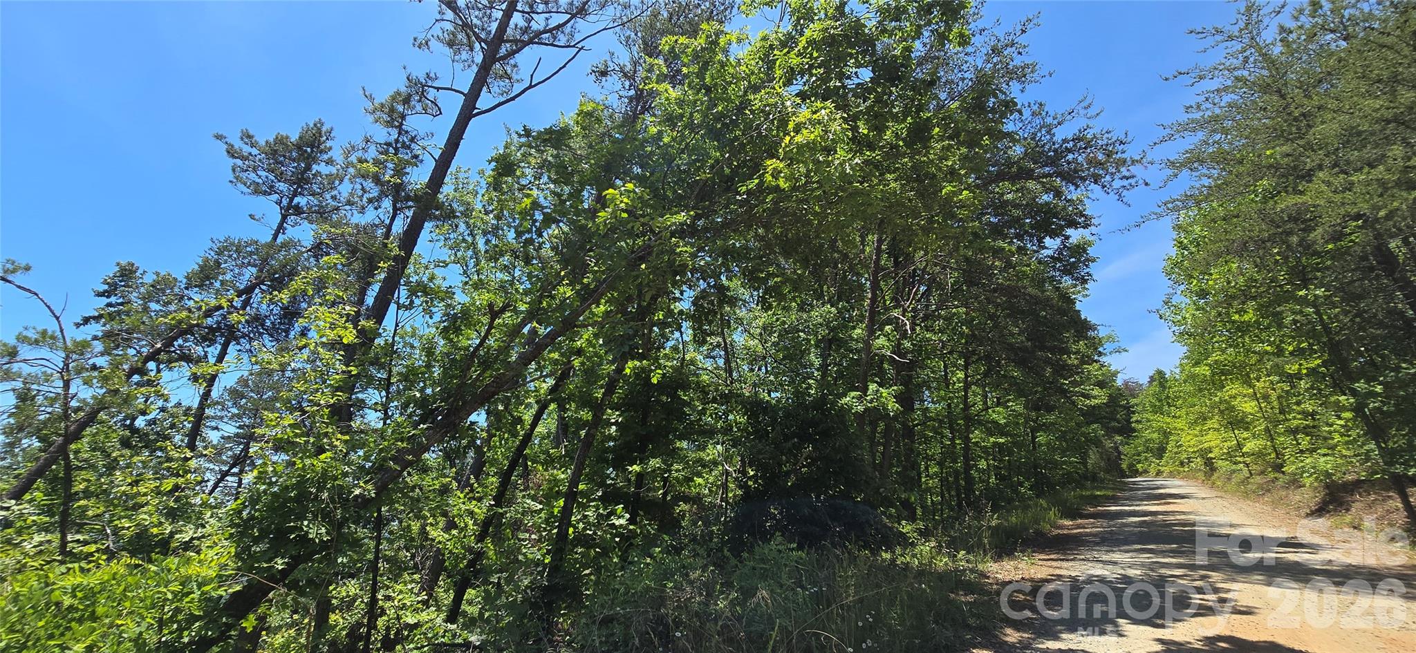 Lot 7 Pinnacle Parkway Property Photo 5