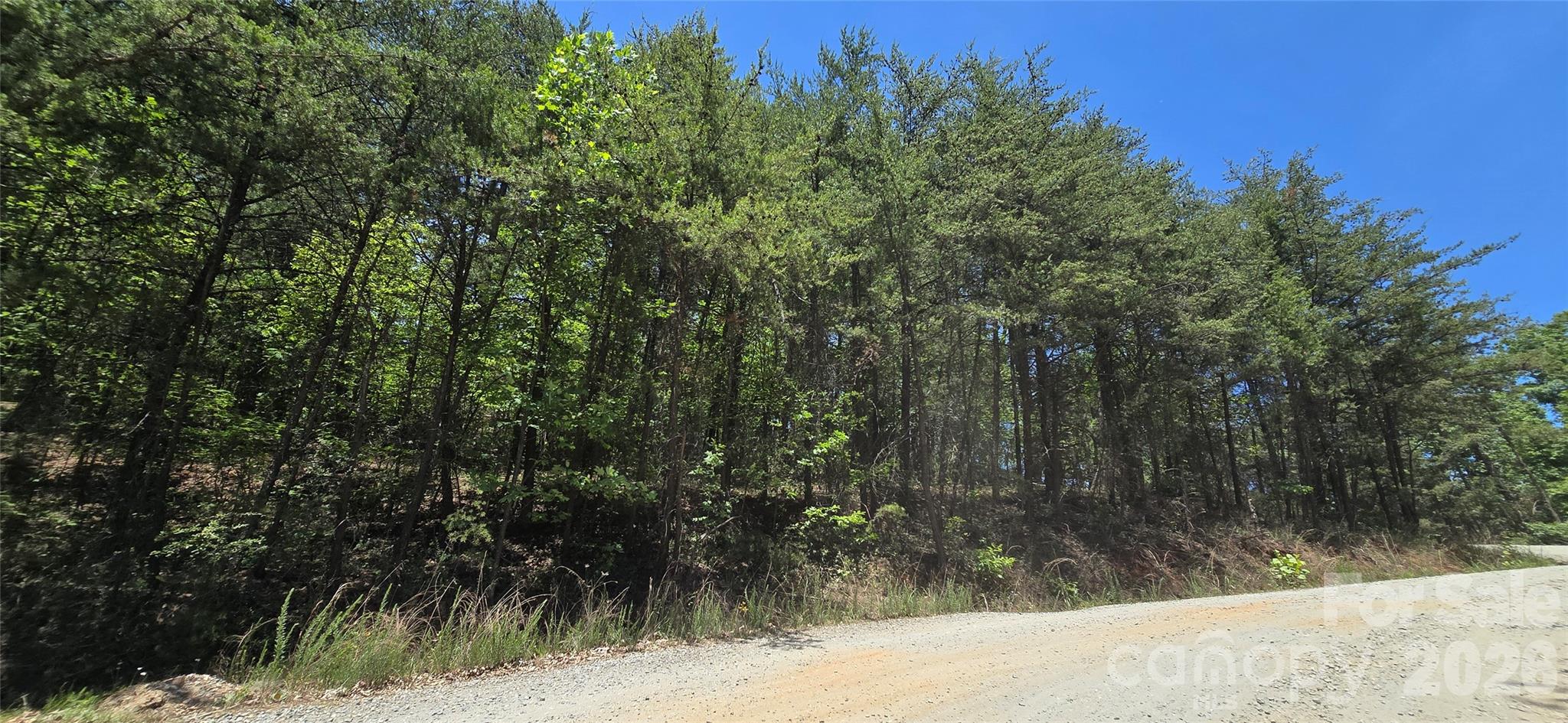 Lot 7 Pinnacle Parkway Property Photo 6