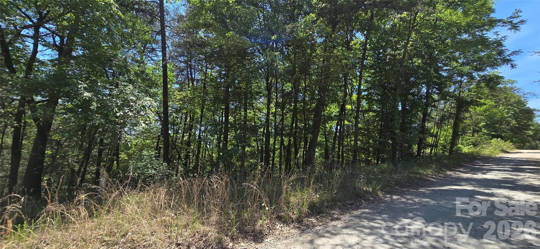 Lot 7 Pinnacle Parkway Property Photo 8