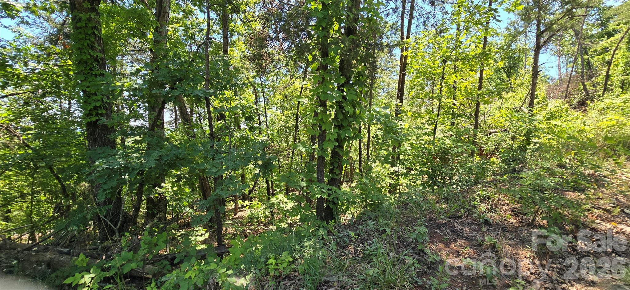 Lot 7 Pinnacle Parkway Property Photo 9