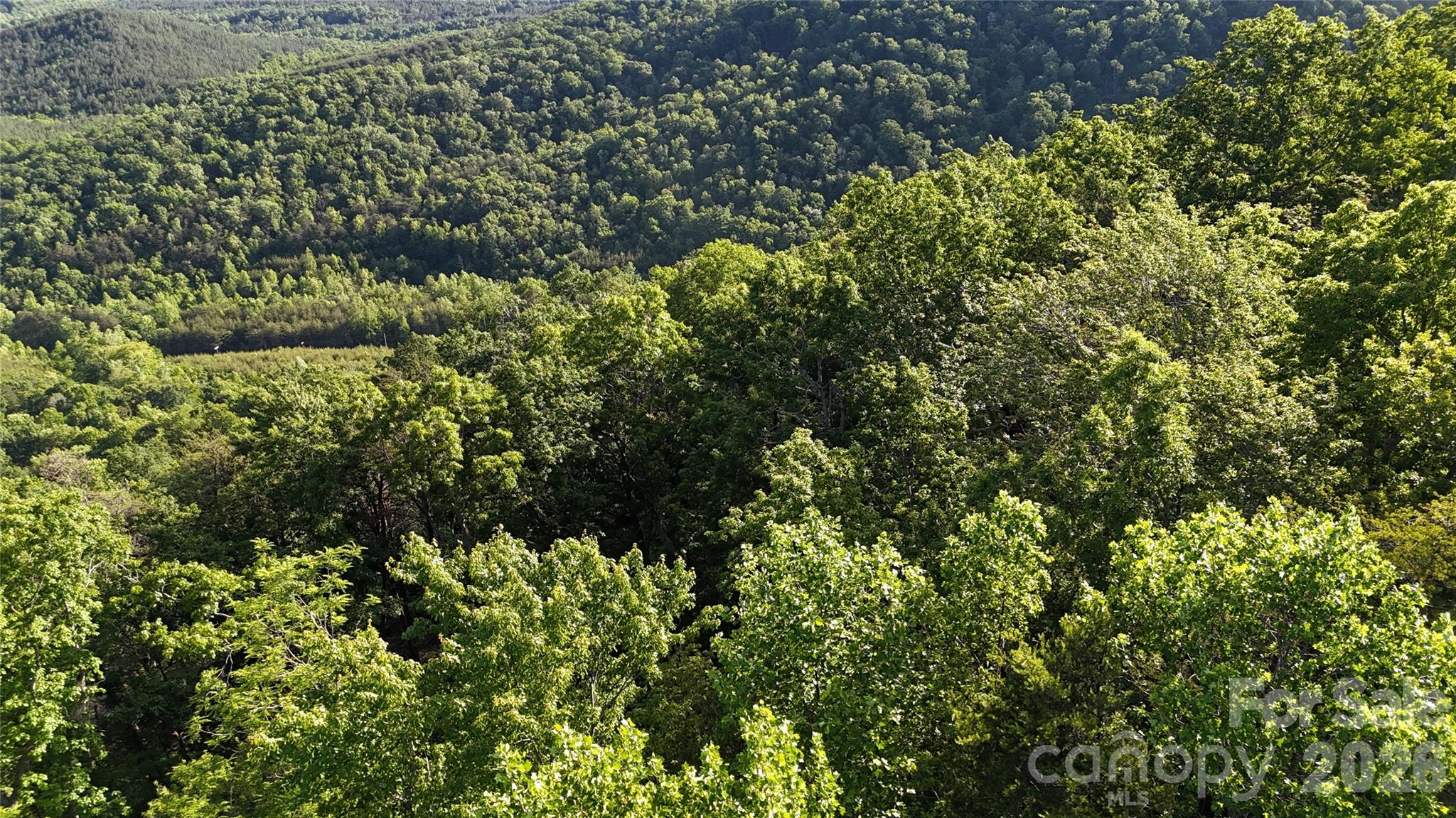 Lot 7 Pinnacle Parkway Property Photo 12