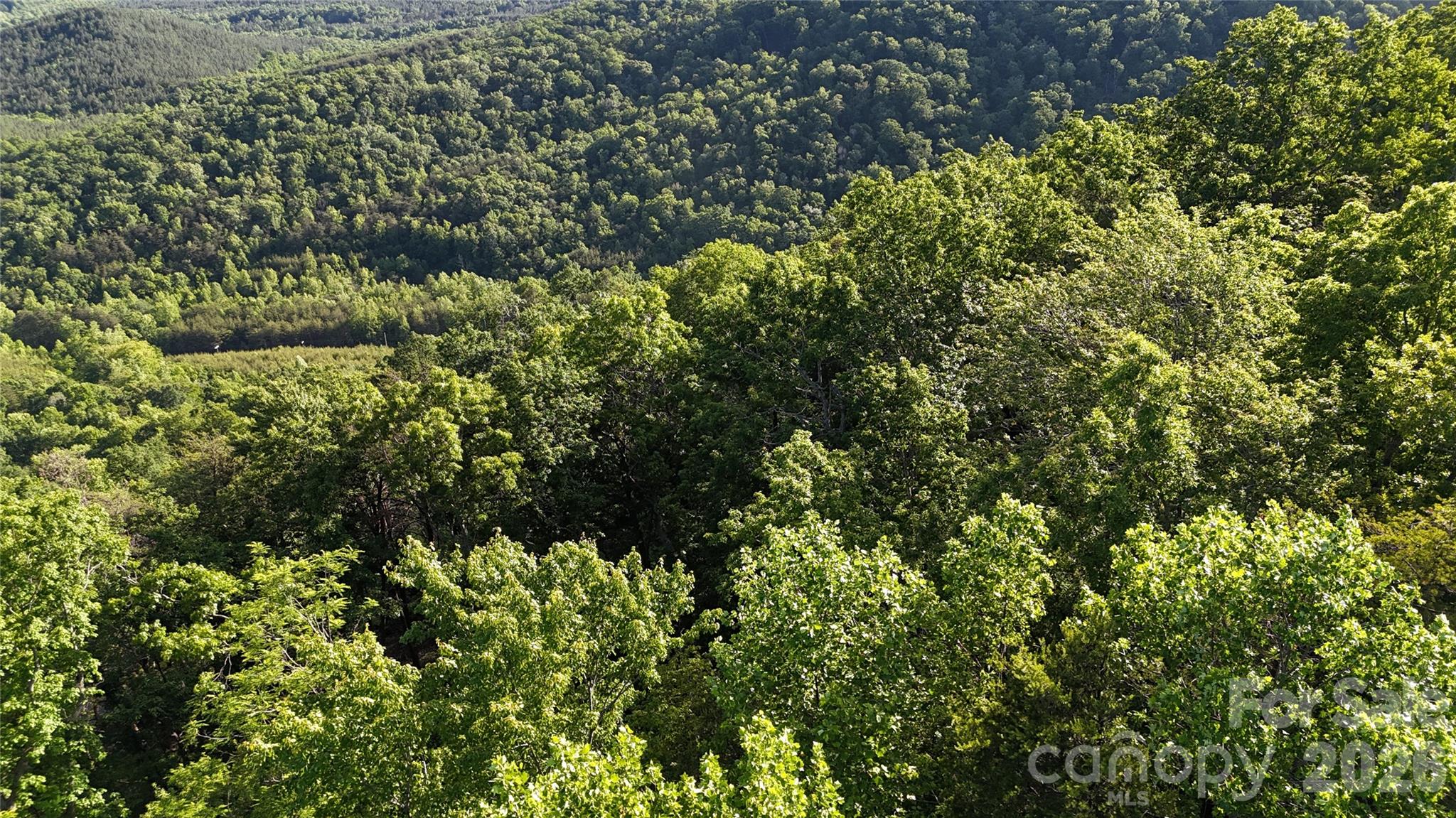 Lot 7 Pinnacle Parkway Property Photo 13