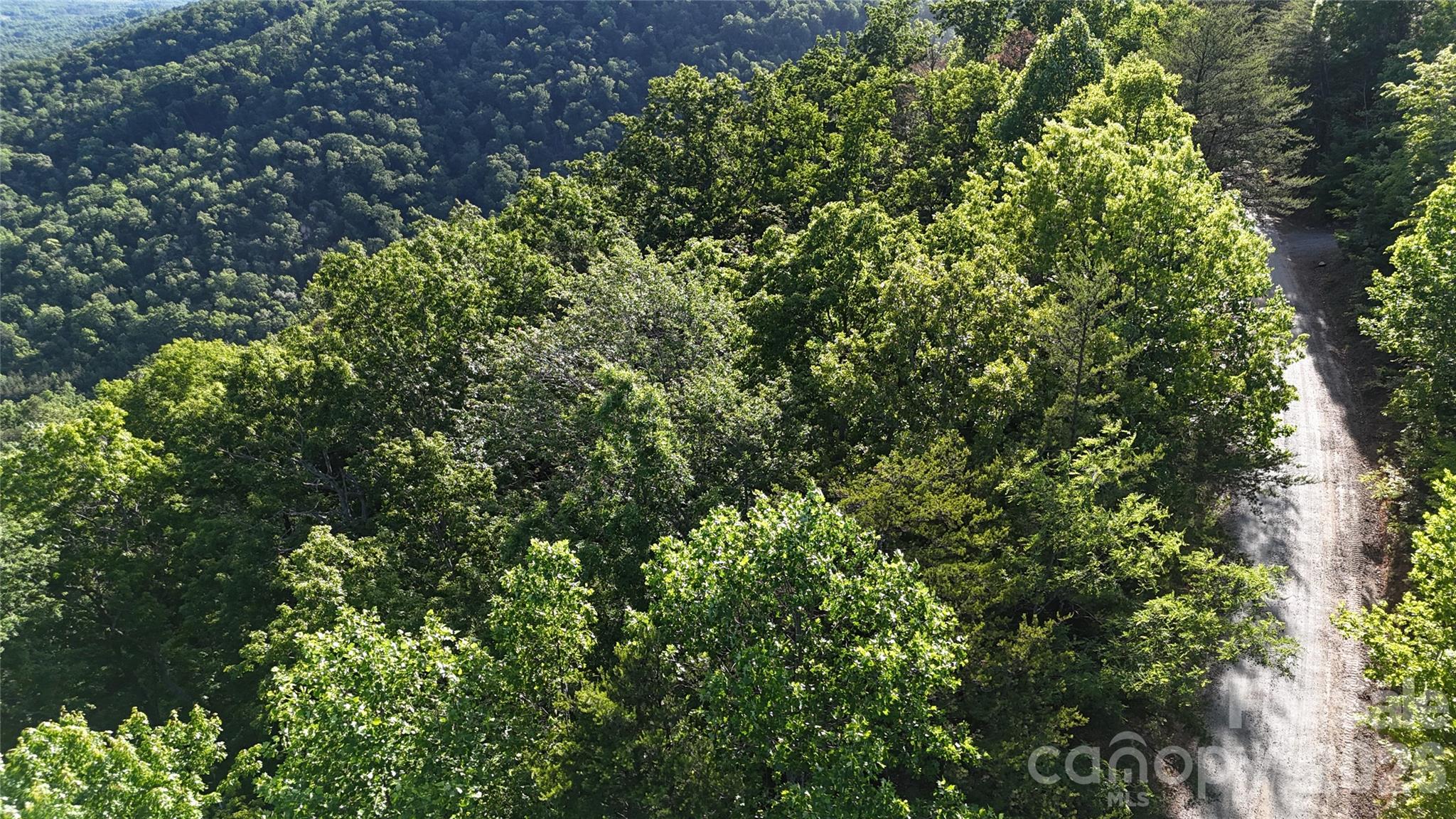 Lot 7 Pinnacle Parkway Property Photo 14