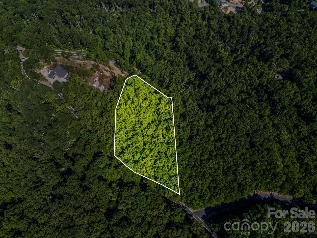 Lot 3 Cedar Mountain Road 3 Property Photo 2