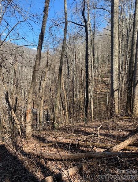 Lot 3 Cedar Mountain Road 3 Property Photo 3