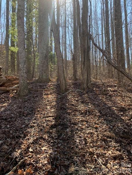 Lot 3 Cedar Mountain Road 3 Property Photo 4