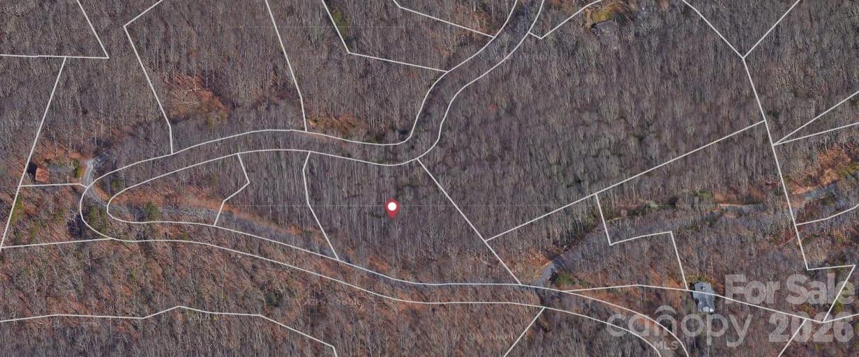 Lot 3 Cedar Mountain Road 3 Property Photo 5