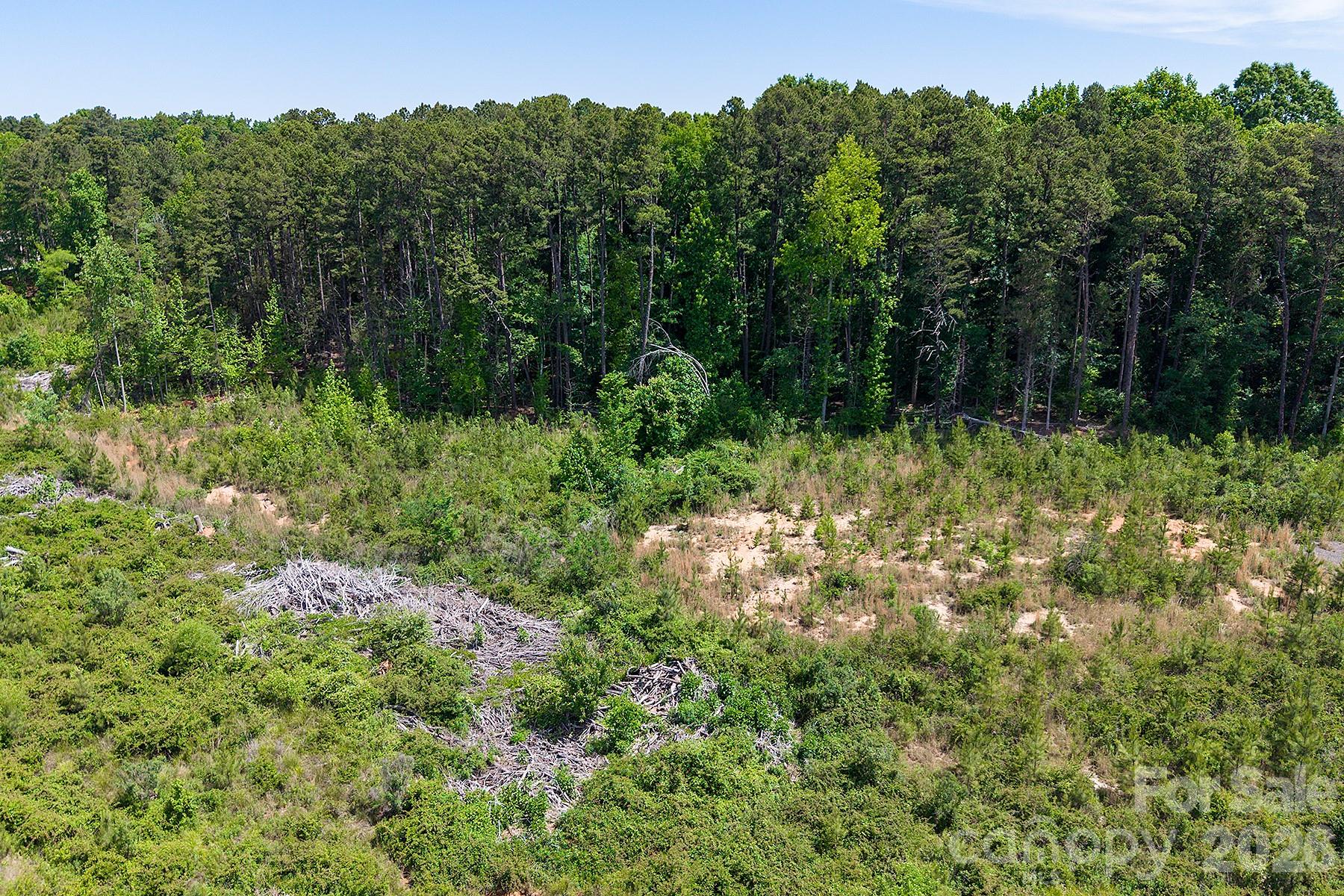 13745 Ramah Church Road Property Photo 12