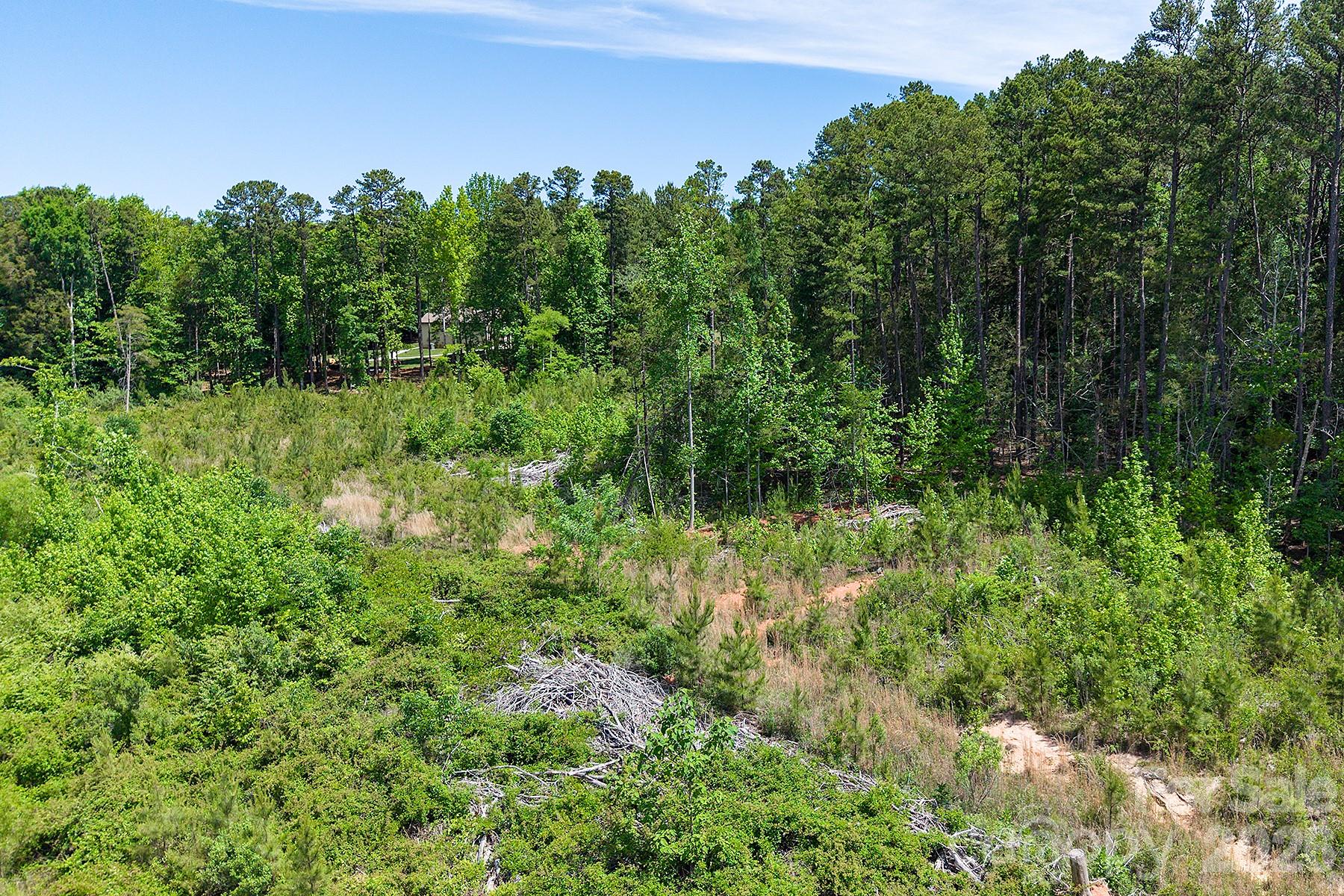 13745 Ramah Church Road Property Photo 13