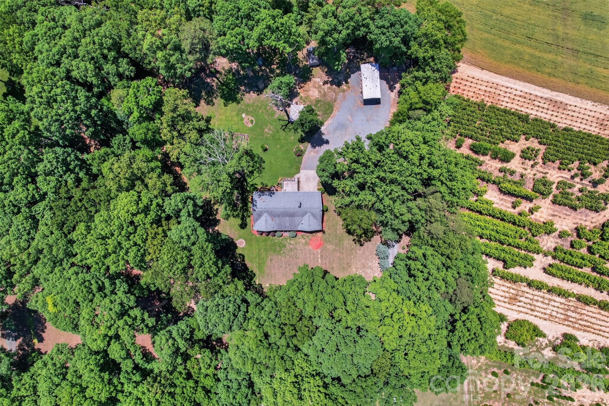 9807 Black Road Property Photo 39