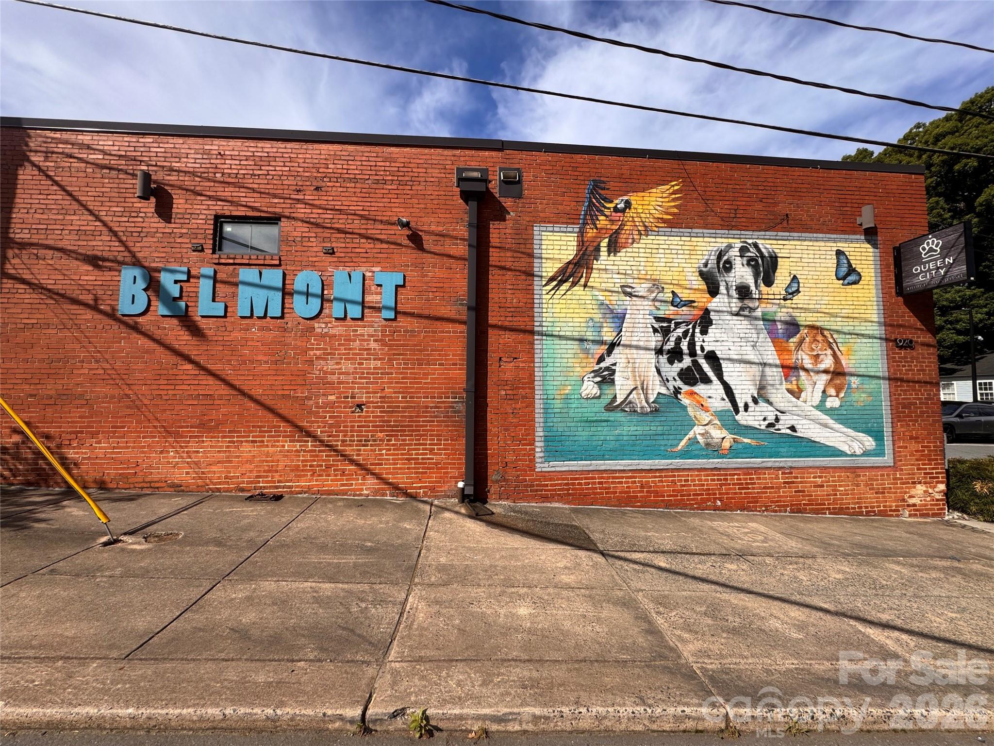 1017 Pegram Street Property Photo 20