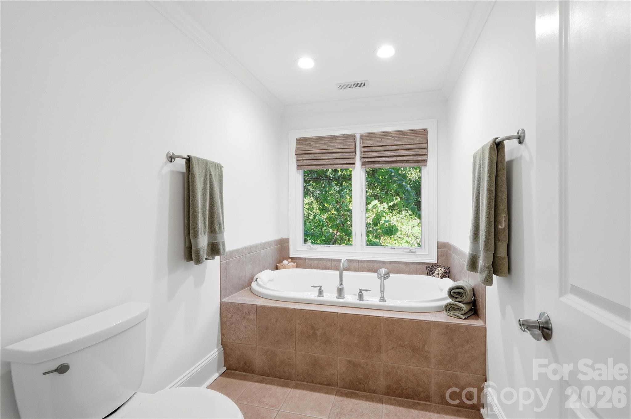 16121 Tana Tea Circle Property Photo 20