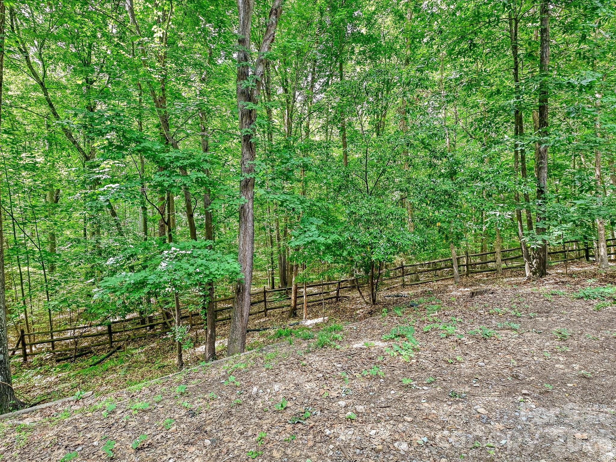 15001 Majestic Oak Drive Property Photo 41