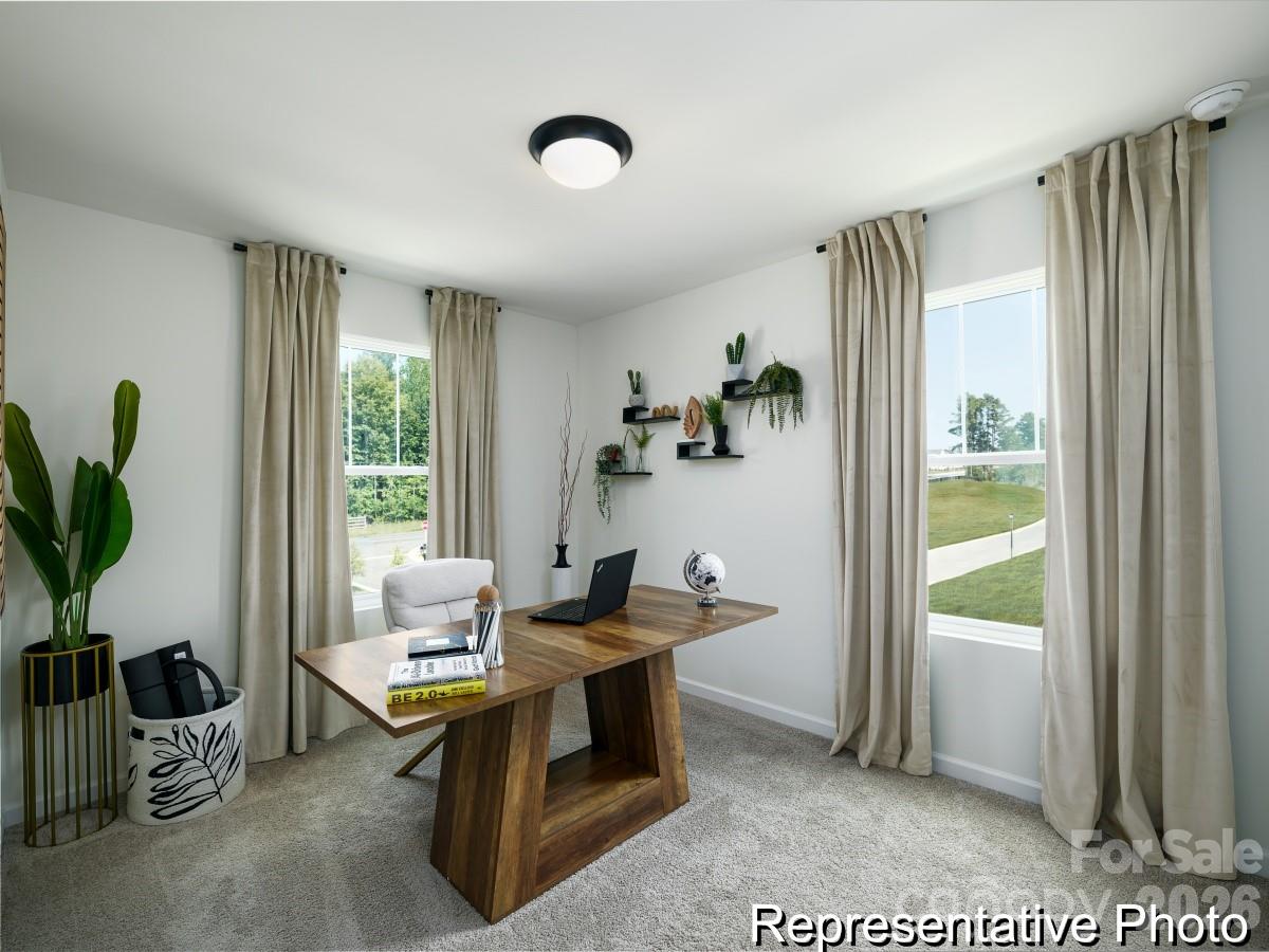 11817 Avocet Street 28 Property Photo 25