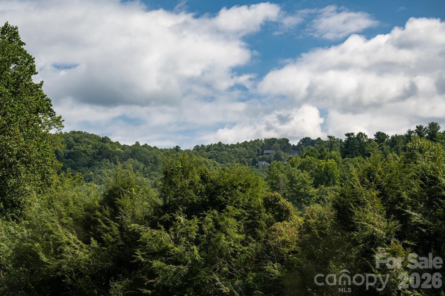 301 Winding Meadows Drive Property Photo 46