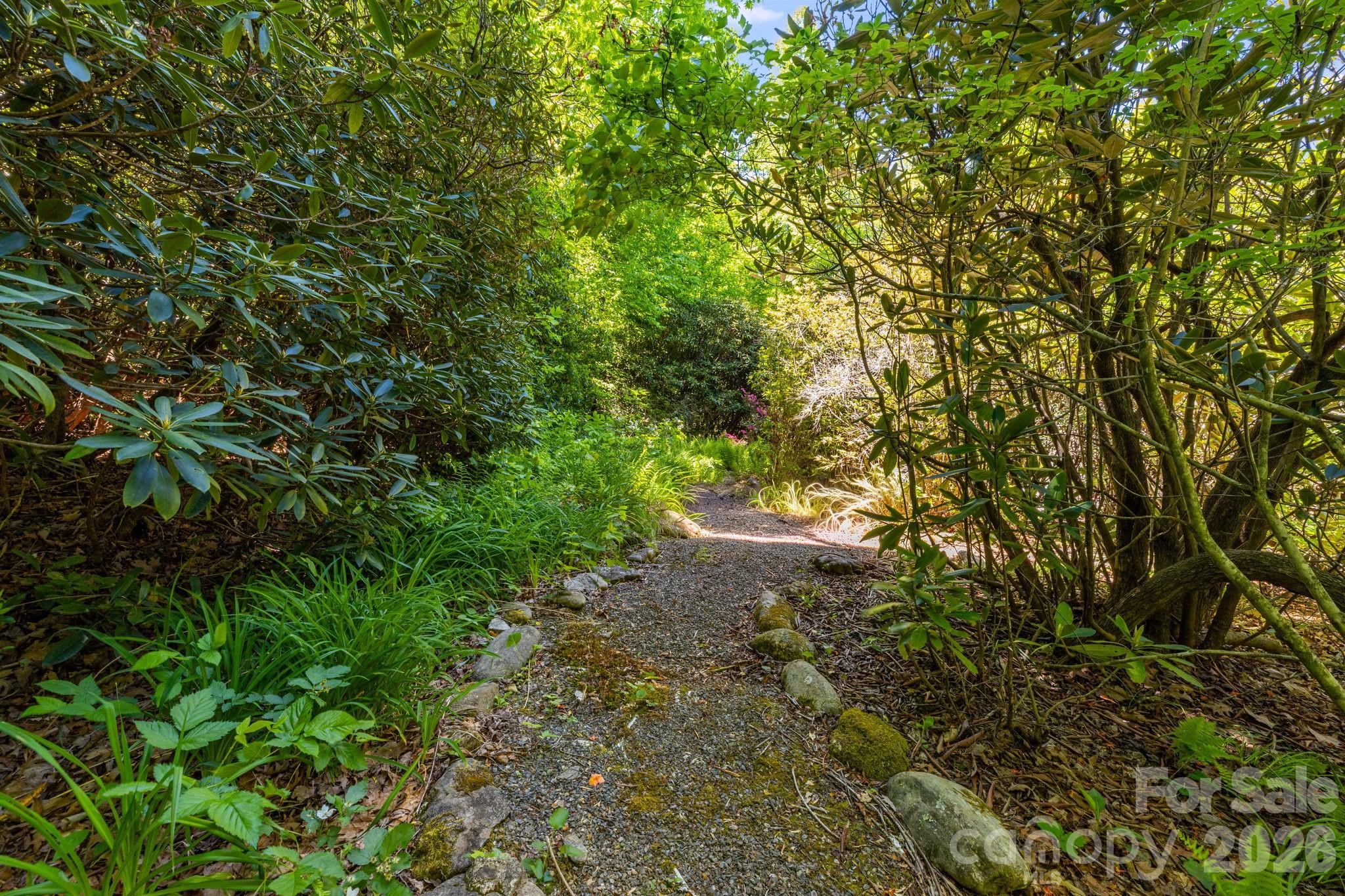 45 Echo Hills Drive Property Photo 20