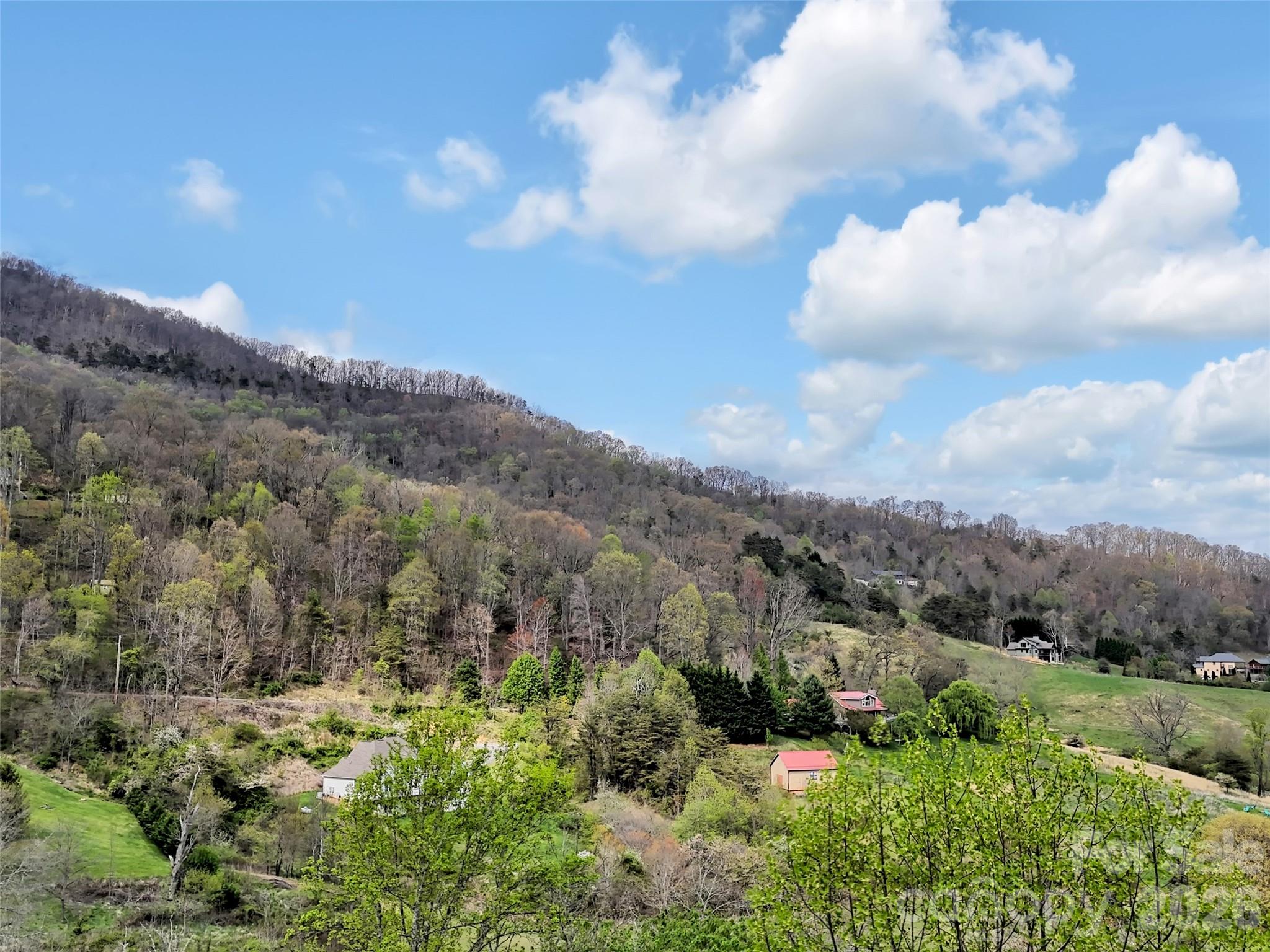 676 Cathey Cove Road Property Photo 6