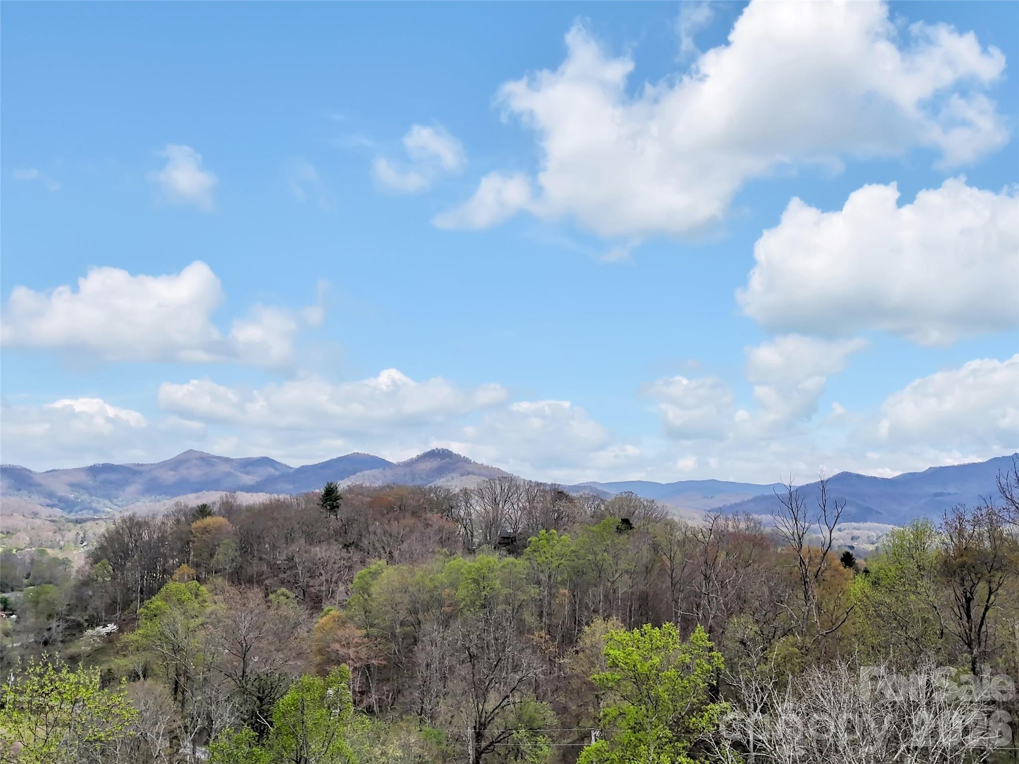 676 Cathey Cove Road Property Photo 8